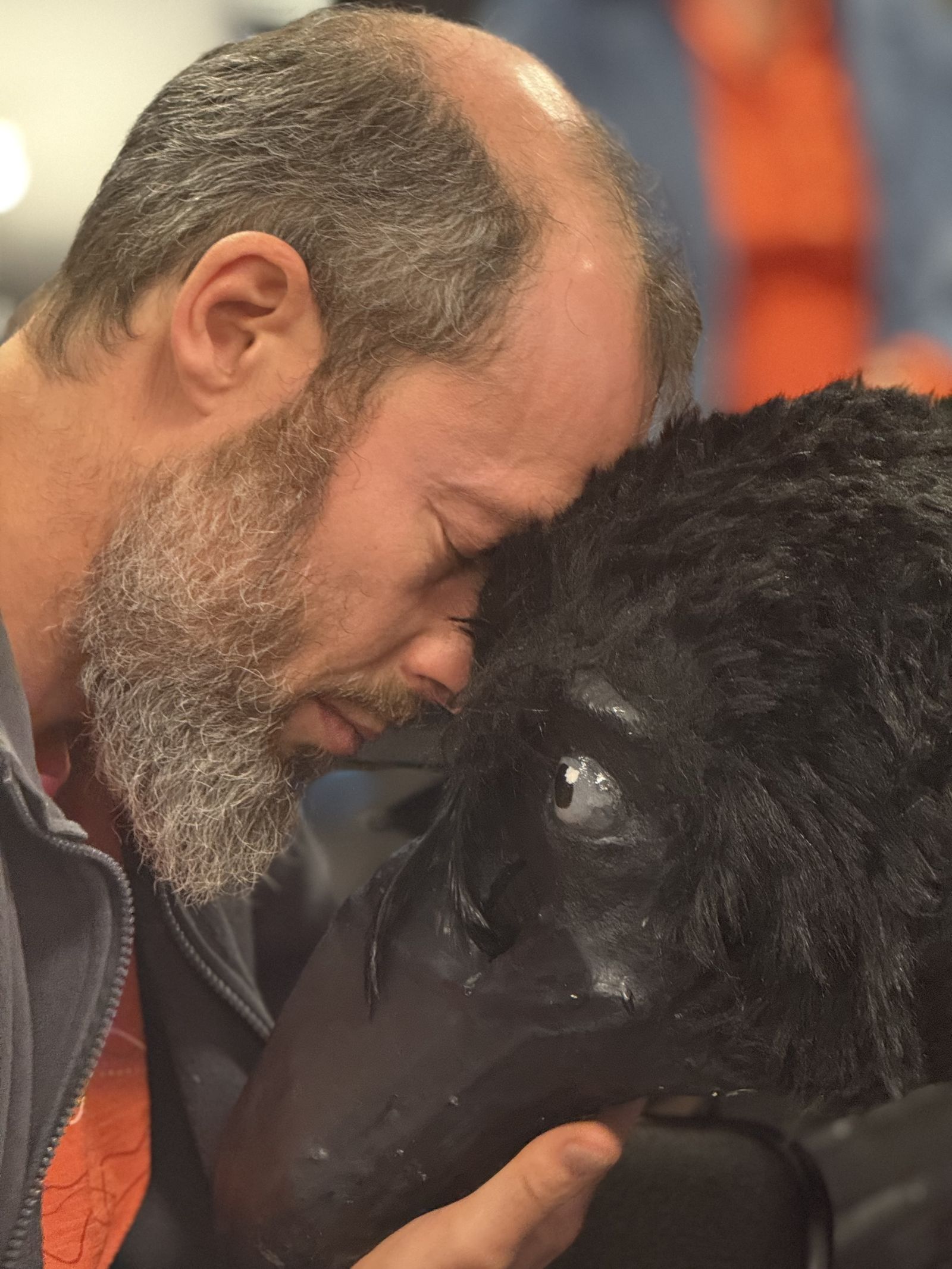 GRASP 1 - photo Mads Bab