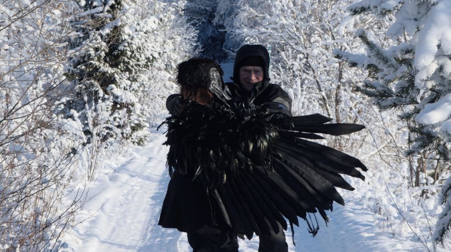 Bird Akionsaari