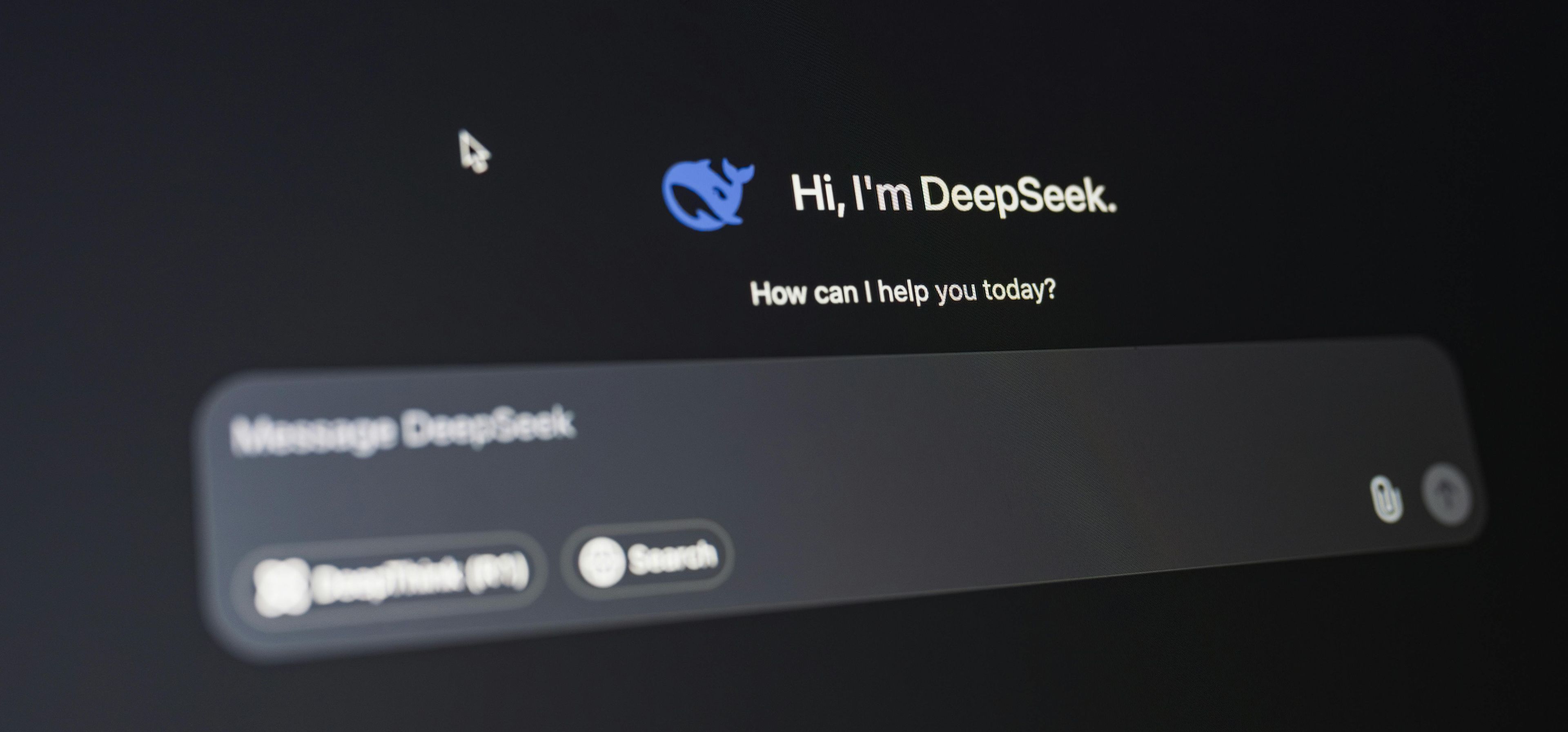 Das Interface des LLM DeepSeek