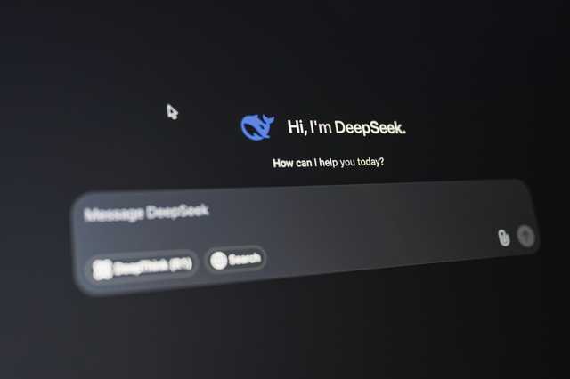 Das Interface des LLM DeepSeek