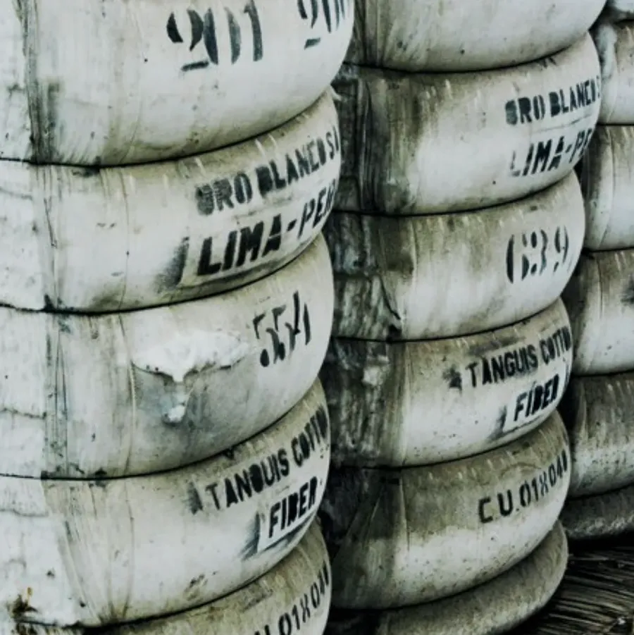 K25, 1999: The Oro Blanco Initiative