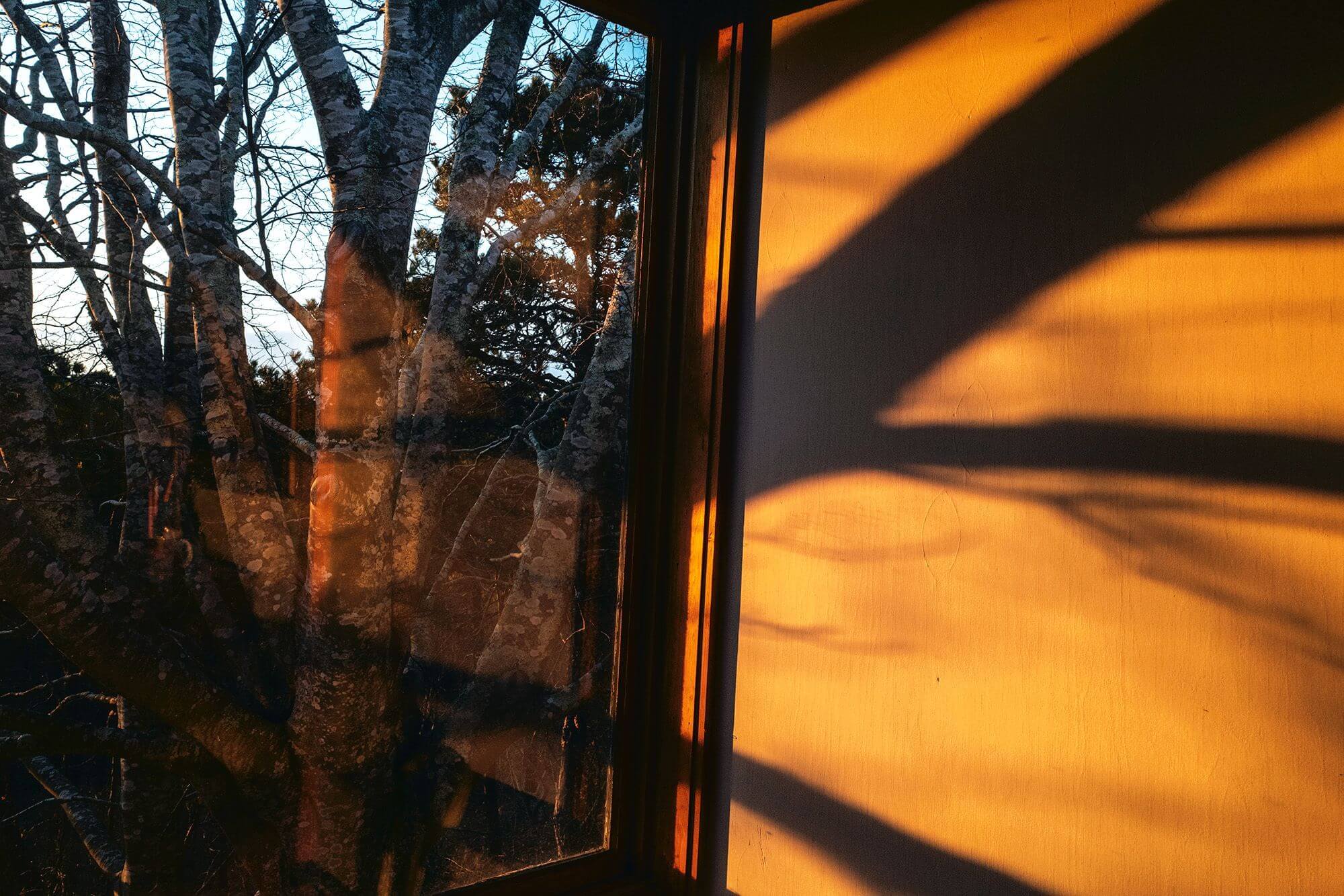 Travel for the deeply curious The Luminaire