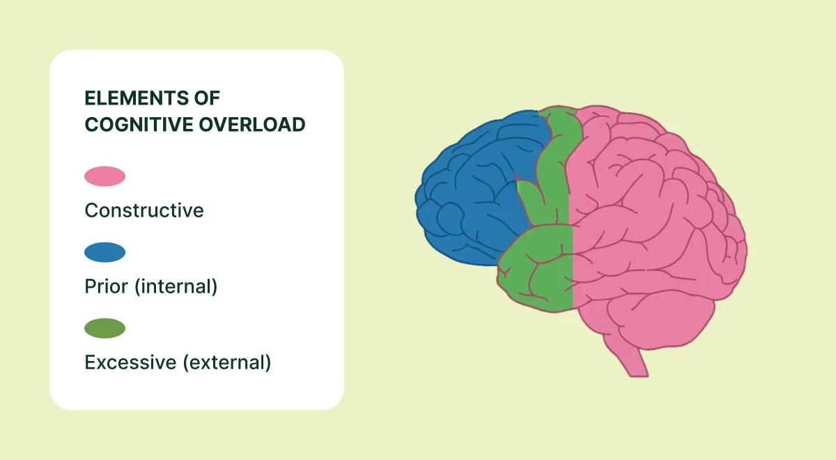 brain-image-two-hemispheres