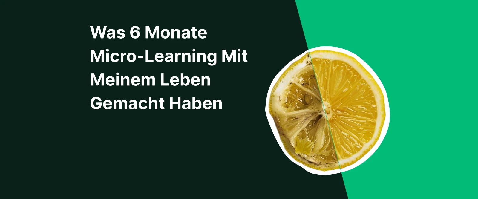 Der 6 Minuten Turbo Wie Ein Timer Ihr Leben Revolutionieren Kann