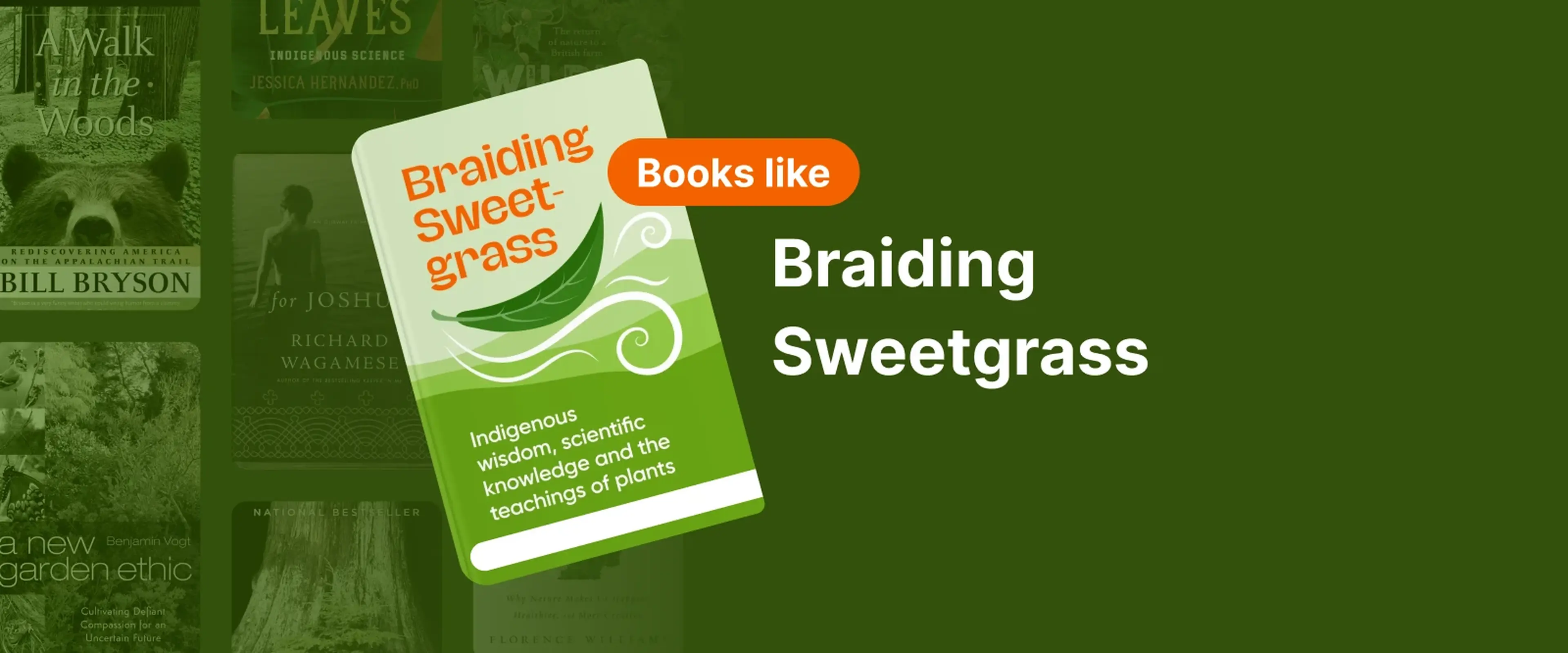 Book cover of Braiding Sweetgrass by Robin Wall Kimmerer with green plant elements 1x