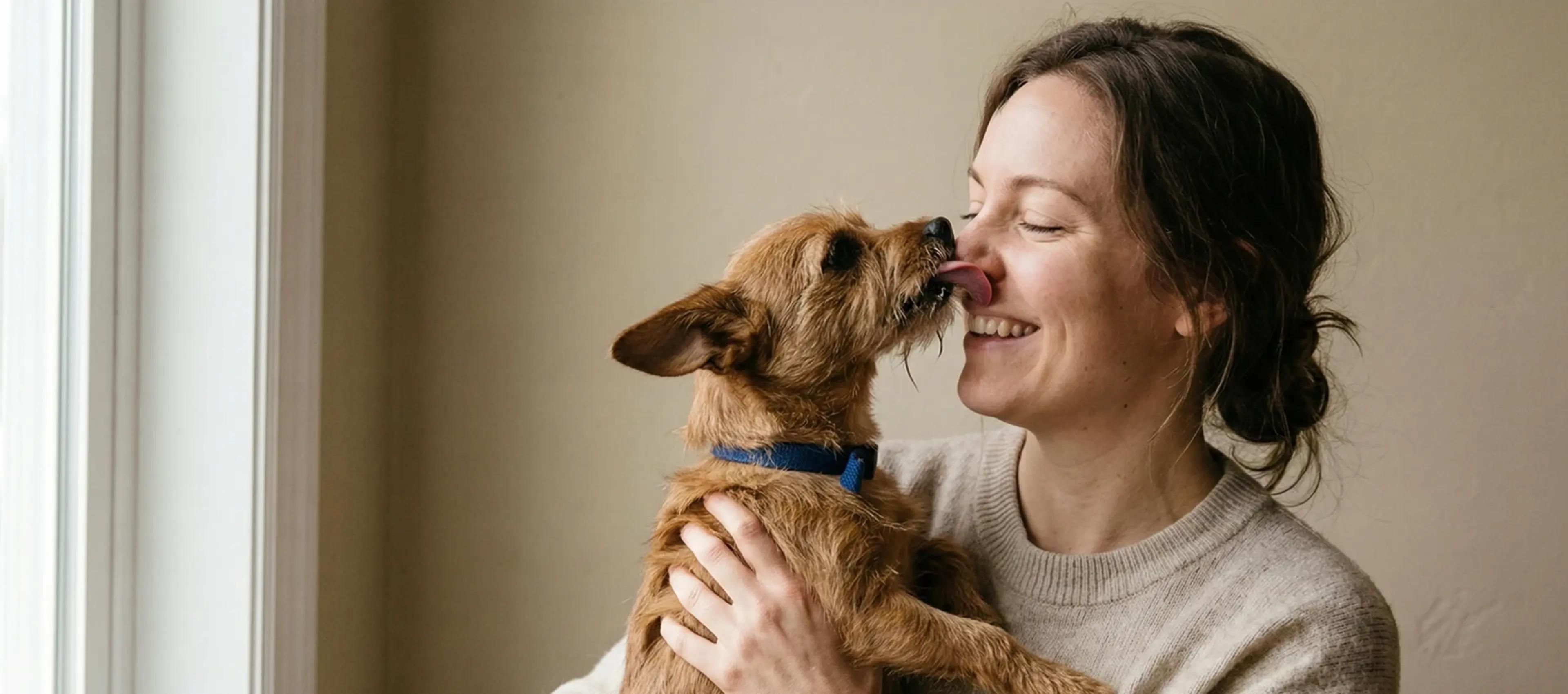 Woman smiling while holding a brown dog with a blue collar, both engaging affectionately as the dog licks her face in a light, neutral home interior