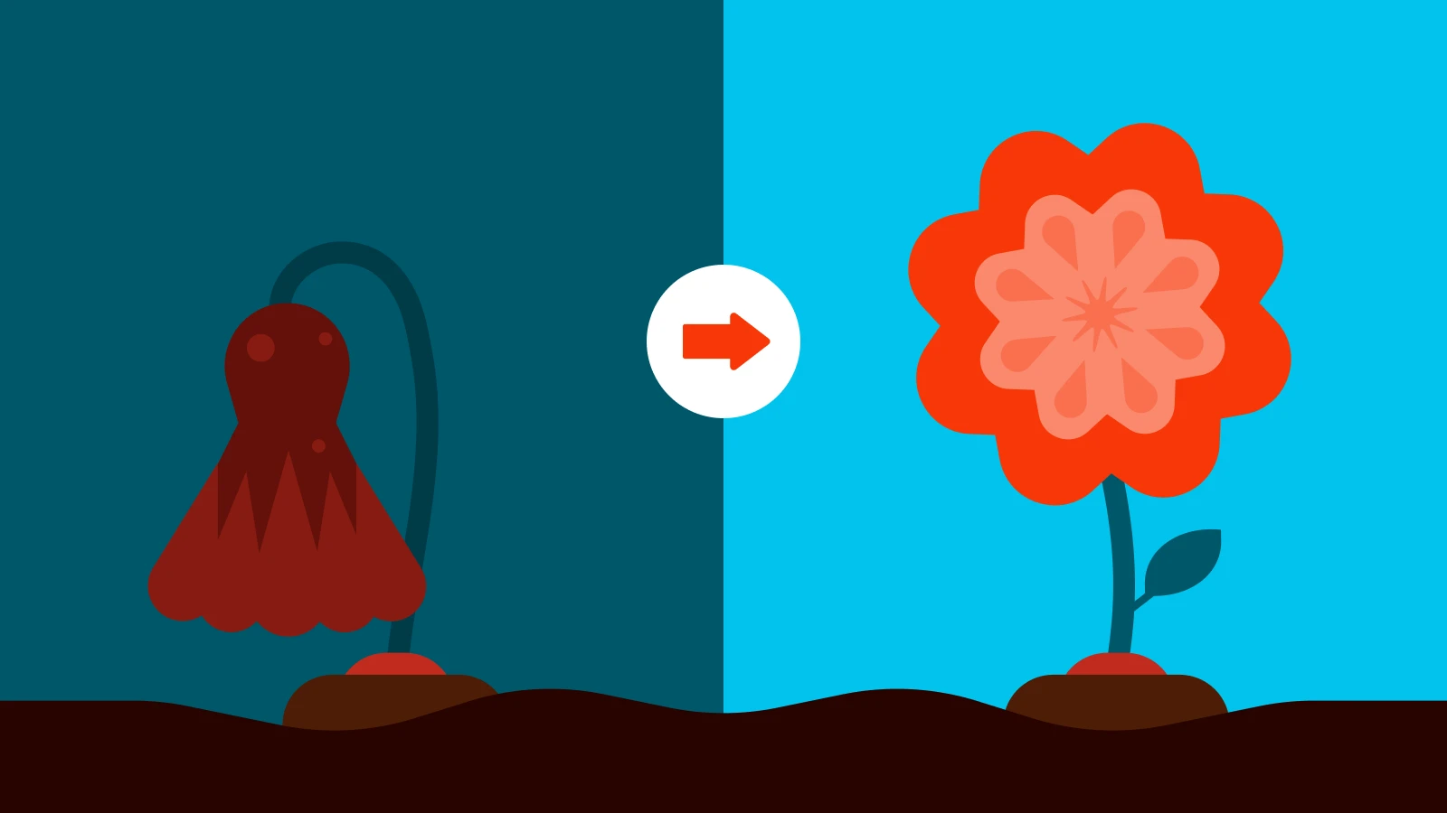 Wilting flower transforming into vibrant blooming flower on split teal background symbolizing recovery to prevent burnout