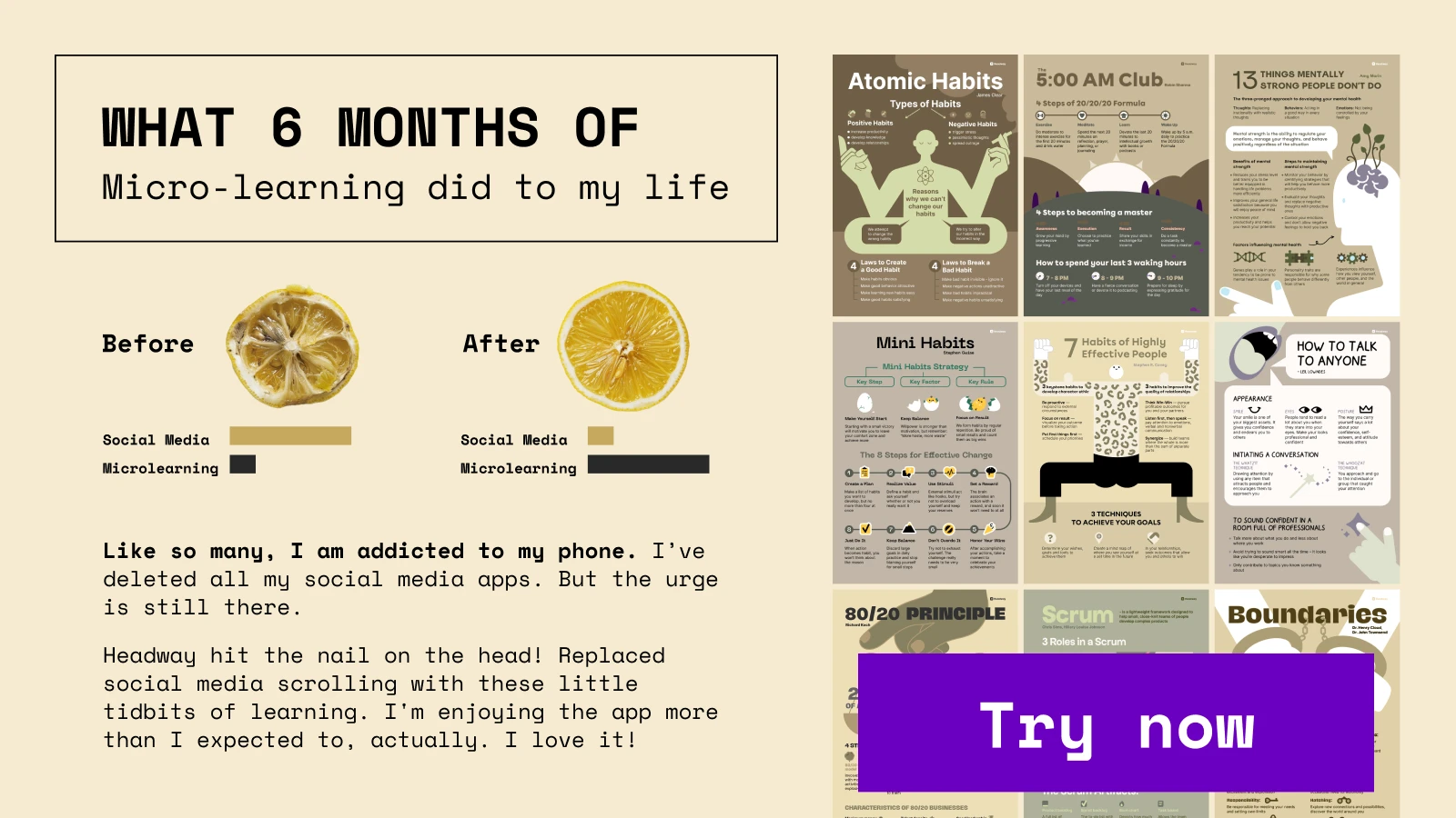 Two lemons, one fresh and one spoiled along with infographics symbolizing transformation after 6 months of microlearning