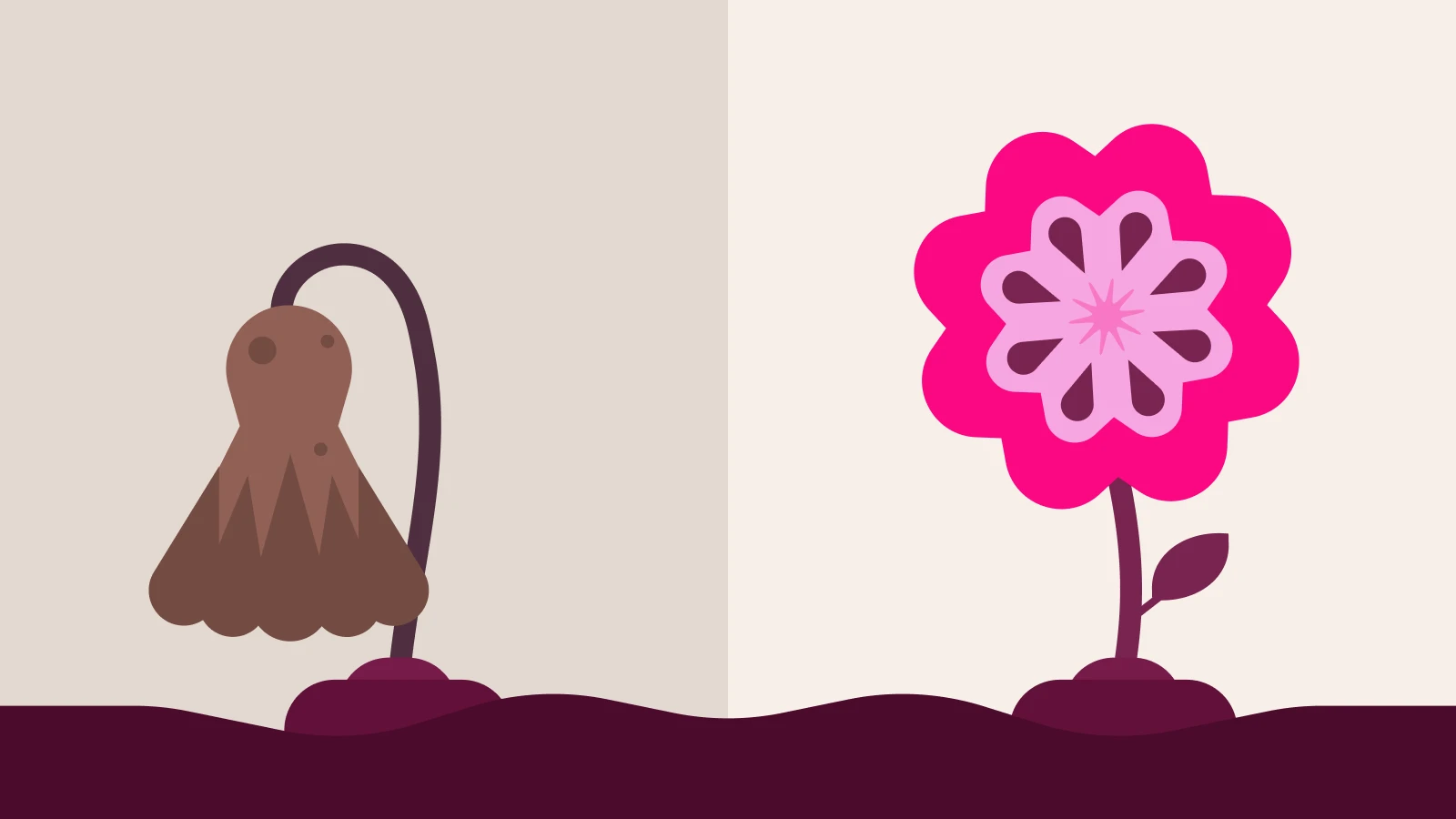 a wilting flower transitioning into a blooming flower, symbolizing the transformation of a relationship from trust issues to rebuilding trust