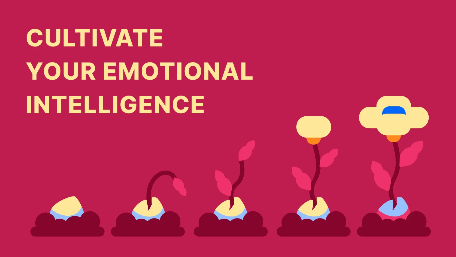 how to Improve Yourself Everyday Evolution of growing flower