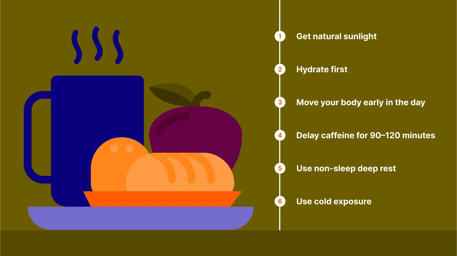 Coffee cup and bread illustration with Andrew Huberman’s morning routine checklist, including hydration, movement, and sunlight