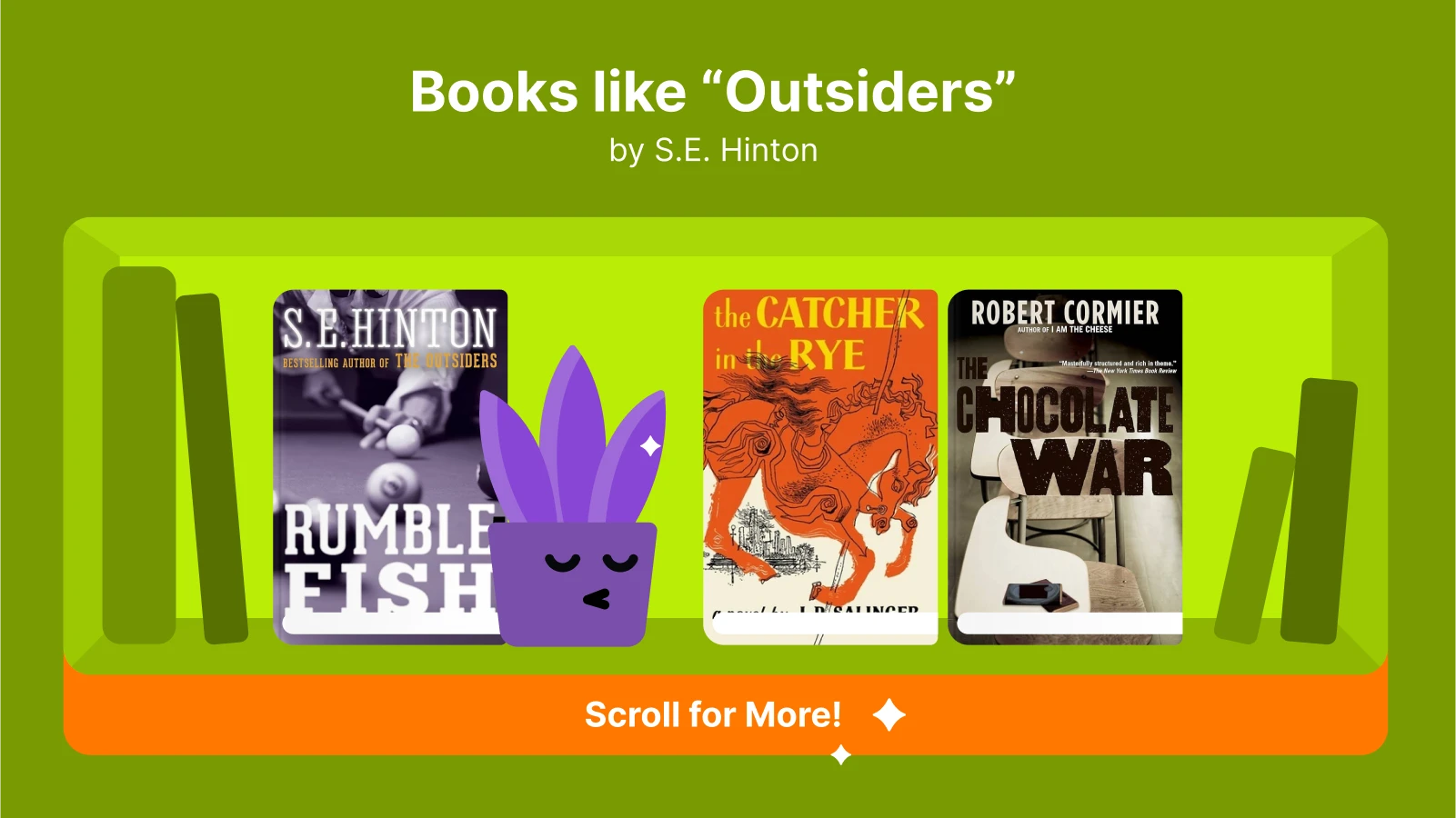 Books like The Outsiders, featuring Rumble Fish, The Catcher in the Rye, and The Chocolate War, focusing on young adult themes and coming-of-age stories