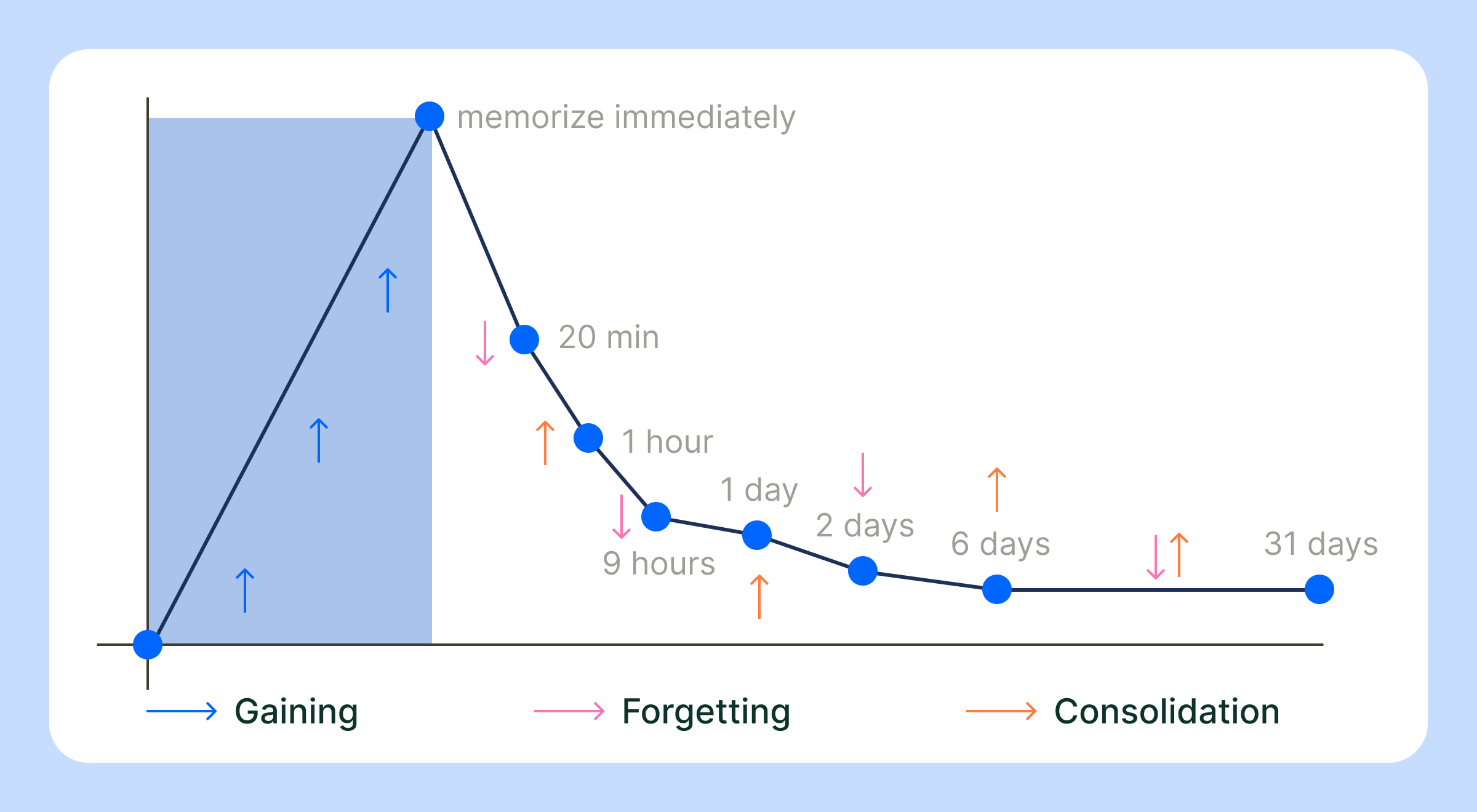 Ebbinghaus forgetting curve diagram showing memory retention stages — gaining, forgetting, and consolidation — over time from immediate memorization to 31 days