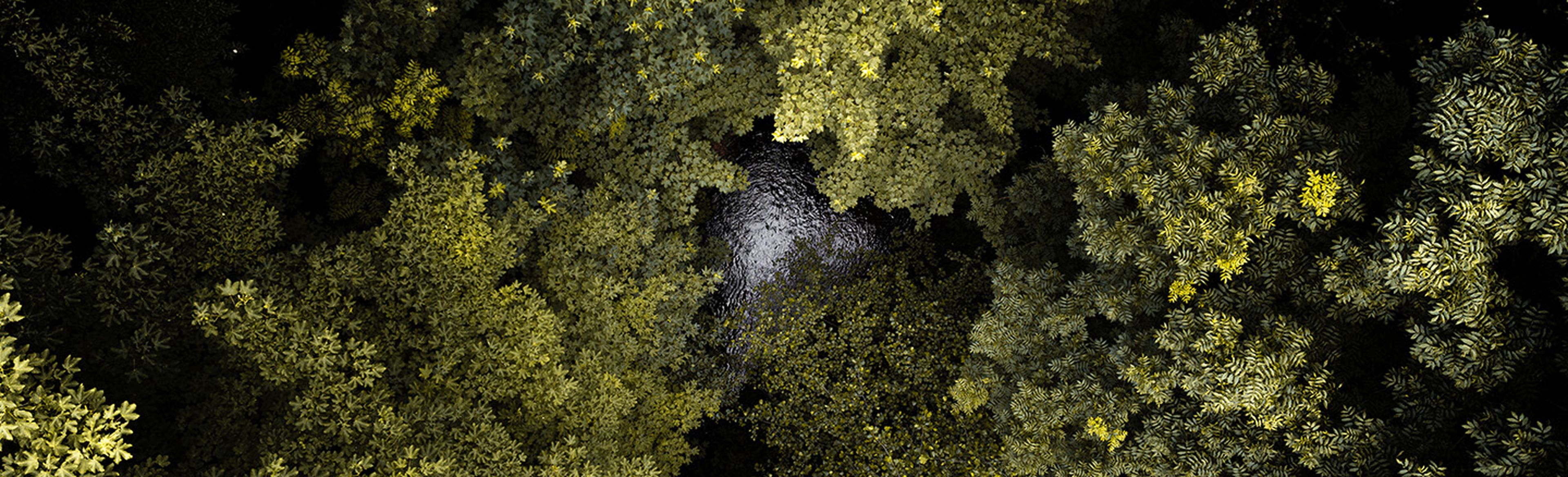 Samen beschermen we de lokale biodiversiteit