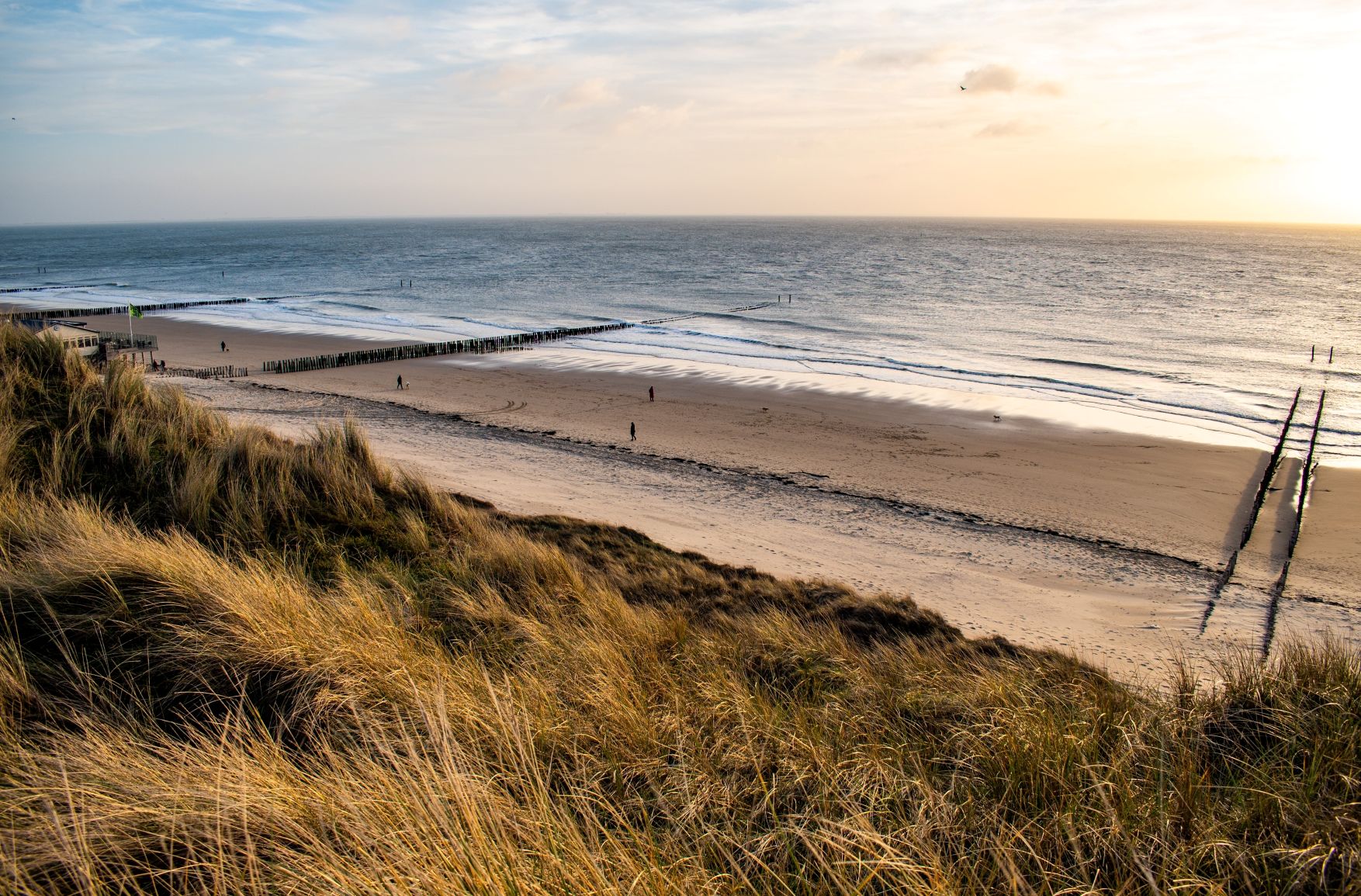 Duinen met stranduitzicht in Westkapelle