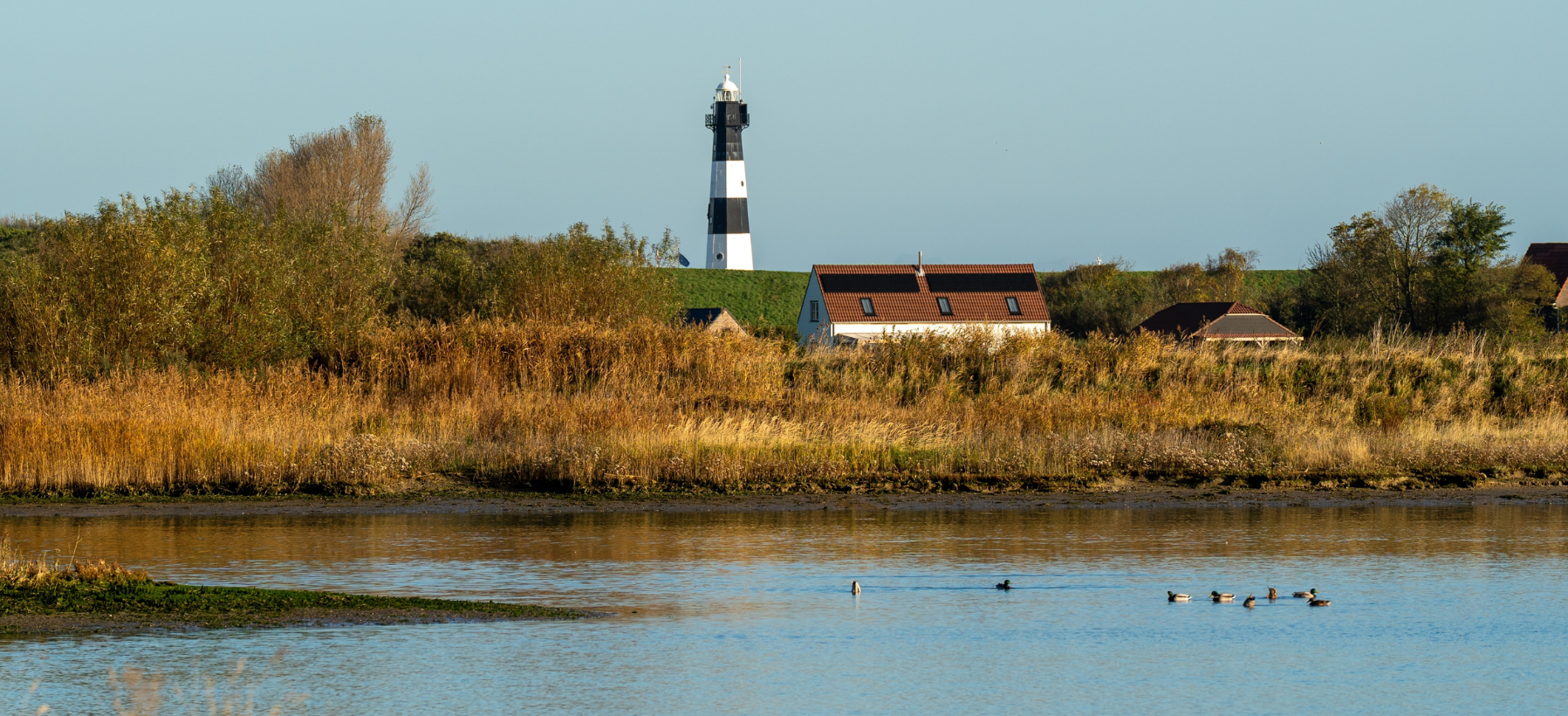 De meest bijzondere natuurgebieden van Nederland