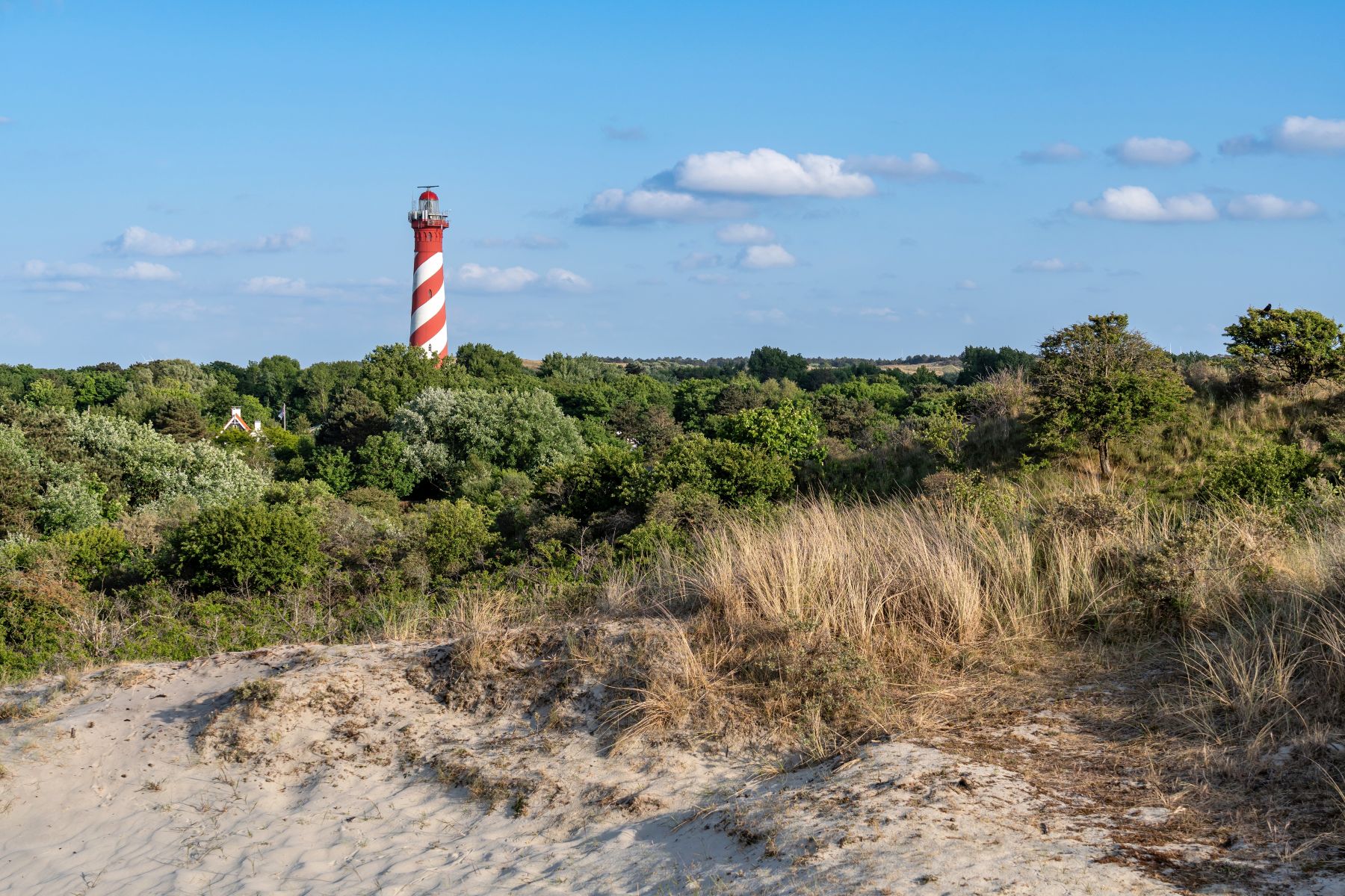 Groene natuur met een rode vuurtoren in Burgh-Haamstede