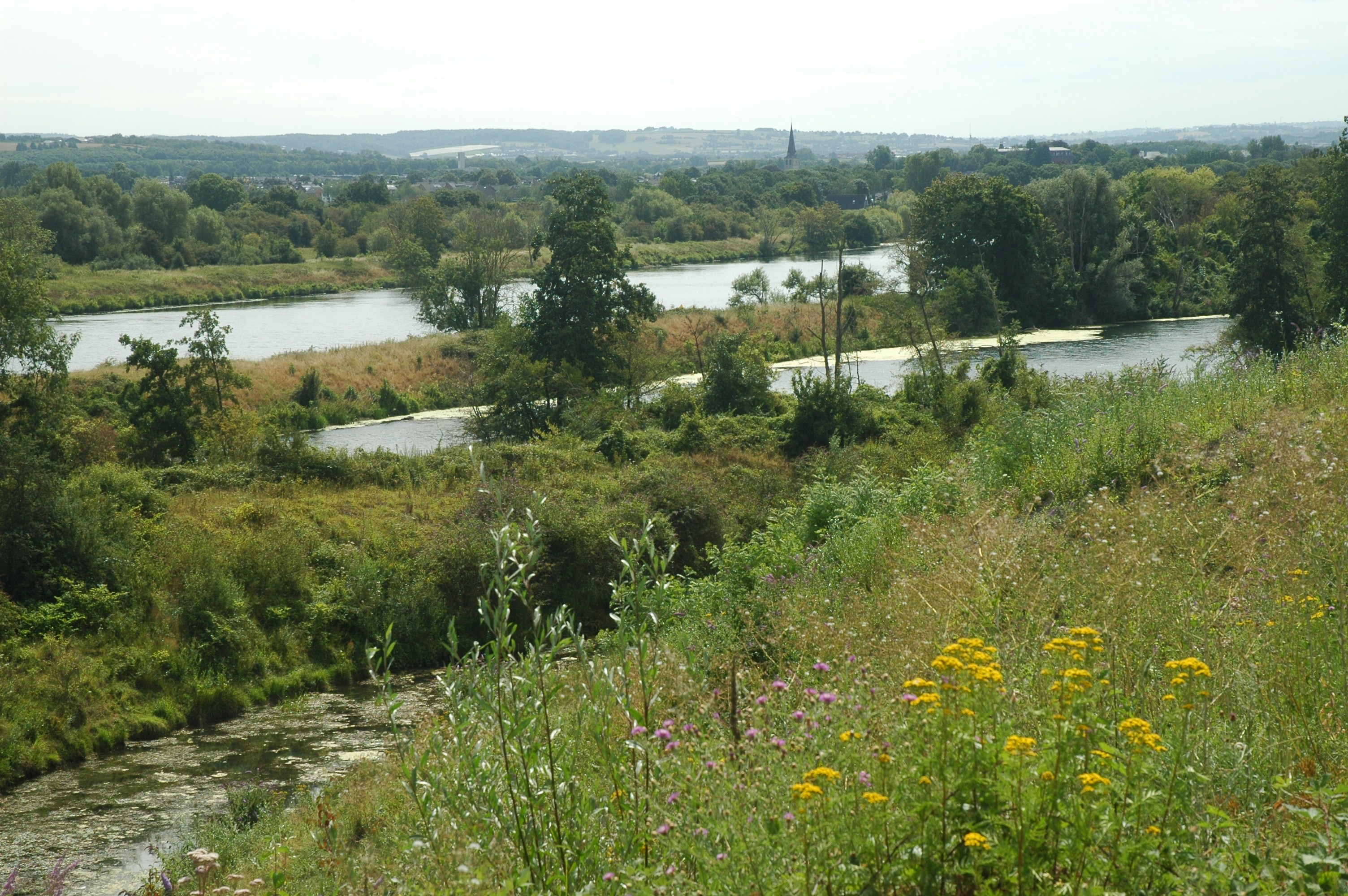 Een schilderachtig landschap met een rivier die door weelderig groen slingert, wilde bloemen op de voorgrond en heuvels in de verte onder een halfbewolkte hemel.