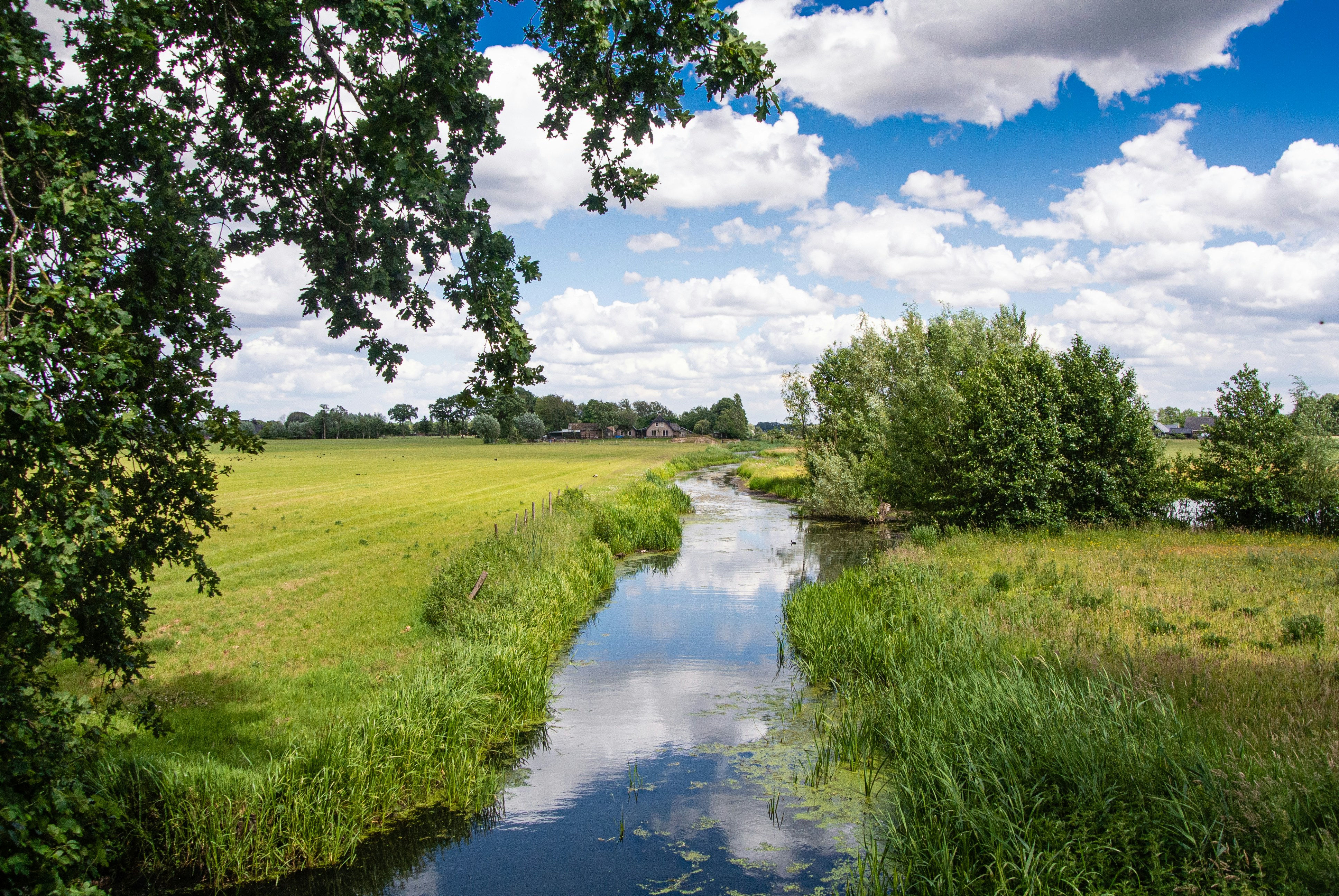 Een sereen landelijk landschap met een smalle rivier die door weelderige groene velden stroomt, omlijst door bomen onder een halfbewolkte blauwe hemel.