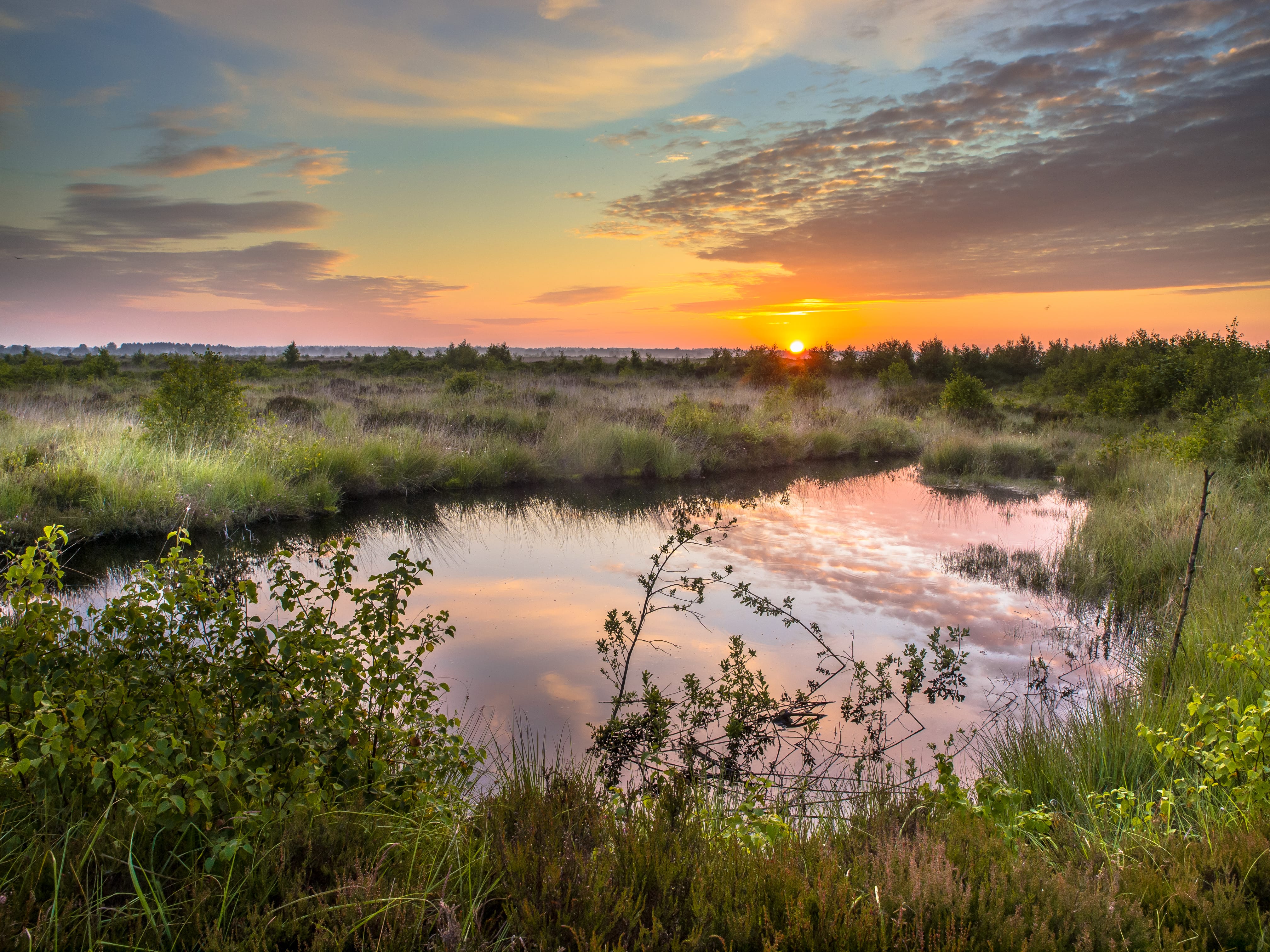 Zonsondergang boven een sereen moeras, met weelderig groen gras, struiken en een stille vijver waarin de kleurrijke lucht en het omliggende landschap weerspiegeld worden.