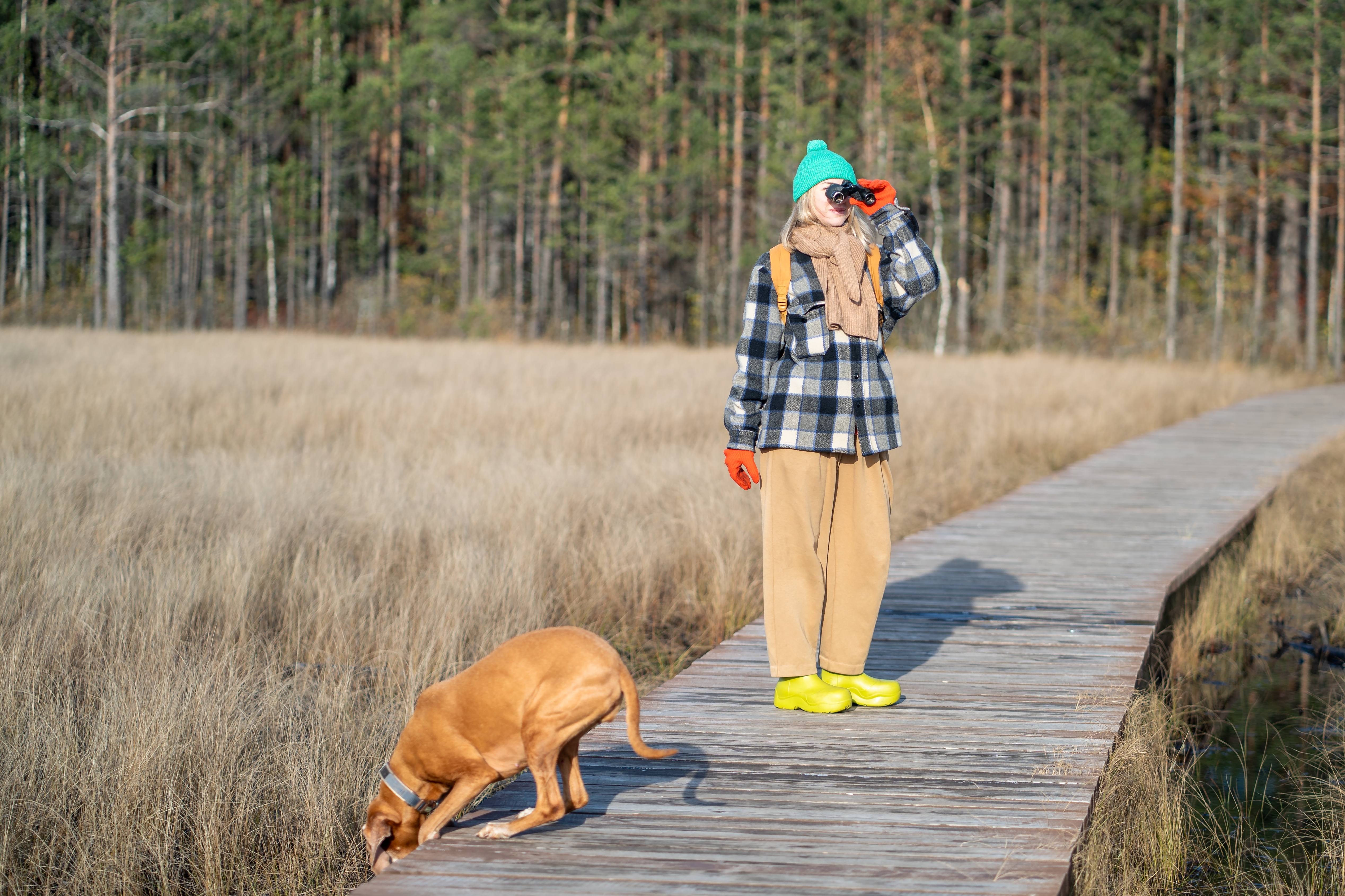 Een persoon in warme kleding en met een groene muts gebruikt een verrekijker op een houten pad in een grasrijk gebied, terwijl een hond in de buurt op verkenning uitgaat.