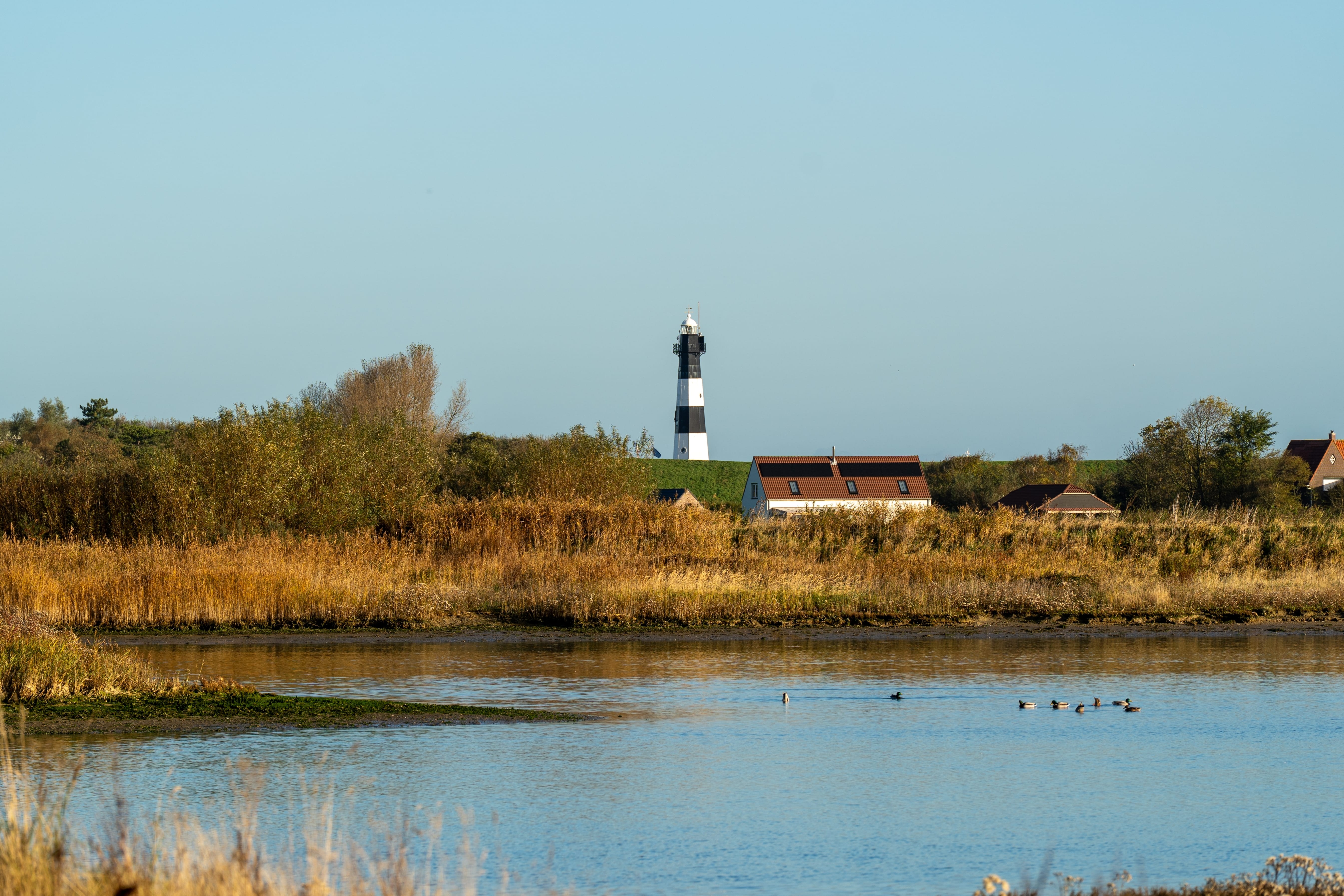 De meest bijzondere natuurgebieden van Nederland