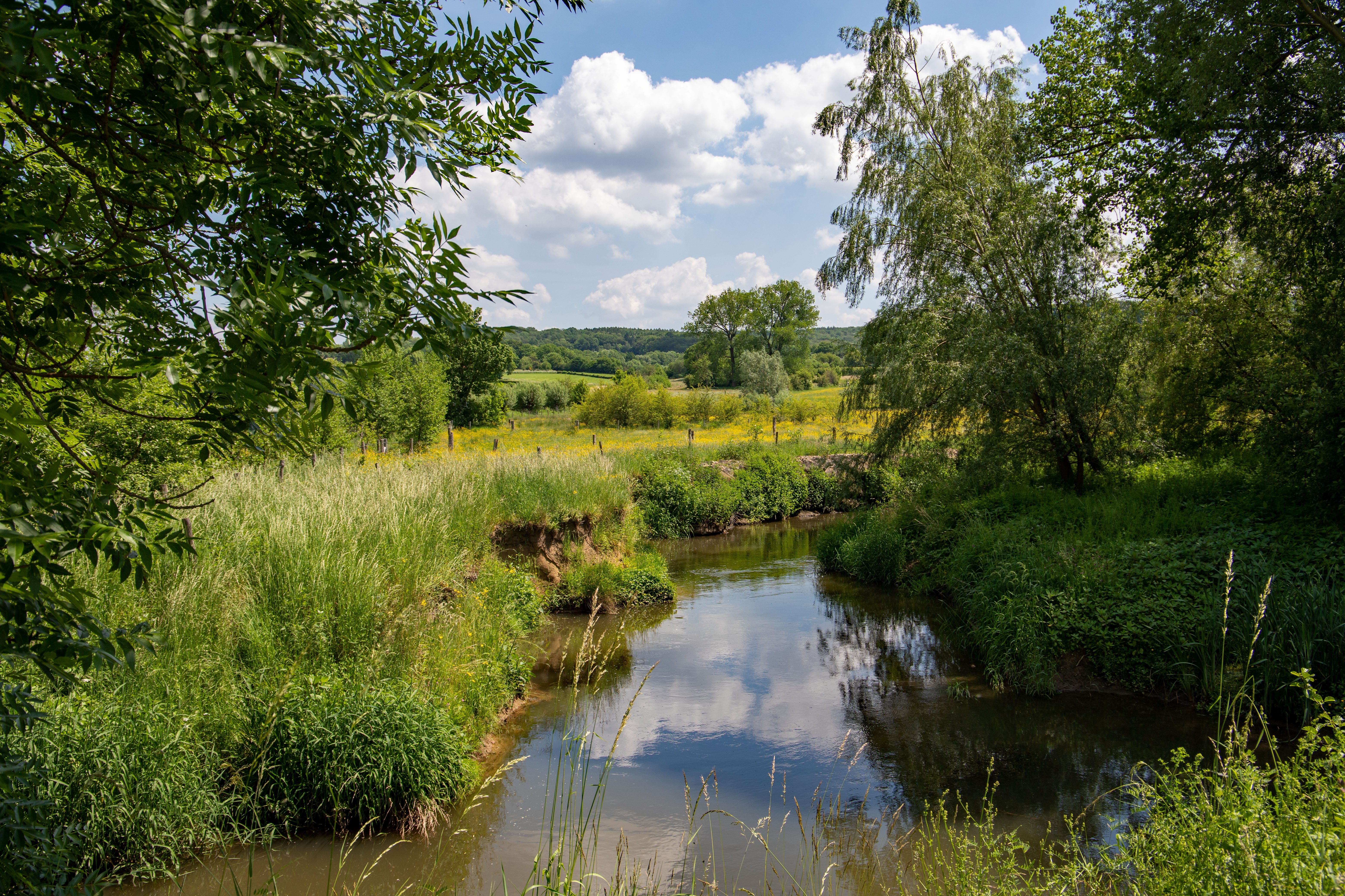Een sereen plattelandstafereel met een riviertje, omgeven door weelderig groen, bomen en wilde bloemen, onder een halfbewolkte blauwe lucht.