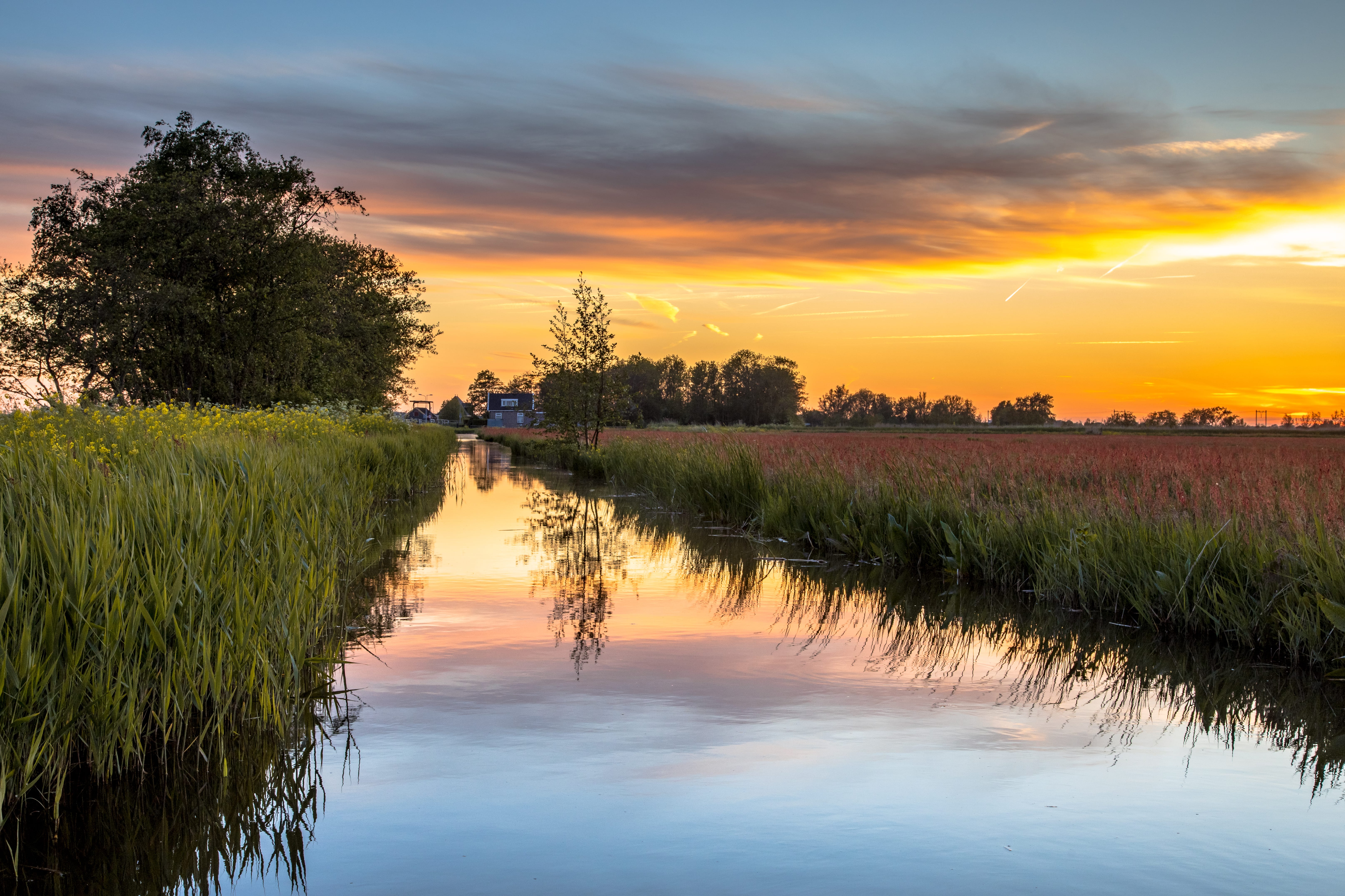 Een sereen kanaal, geflankeerd door hoog gras dat de levendige kleuren van een zonsondergang weerspiegelt, met op de achtergrond silhouetten van bomen en gebouwen in de verte.
