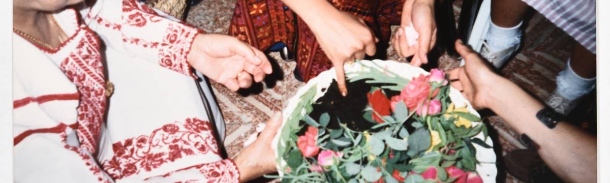 Women in traditional Palestinian dress gather around a bowl with soil and pink flowers.