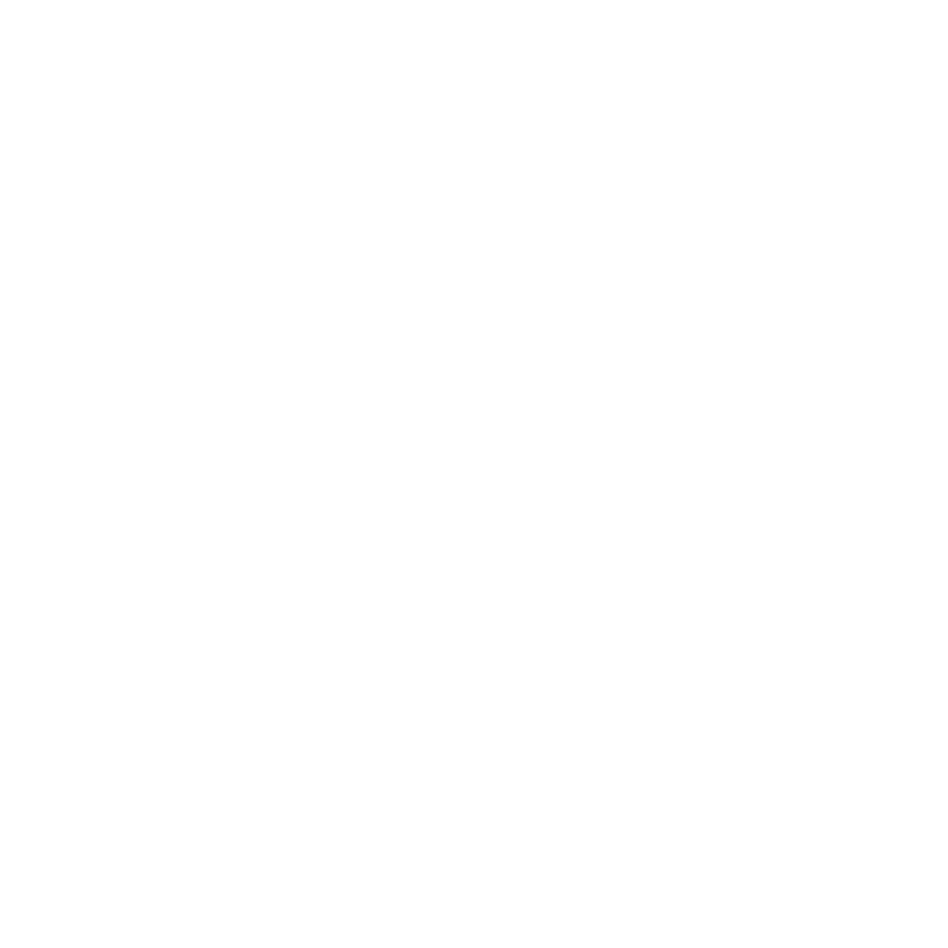 Vallila White Logo