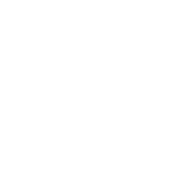 Vallila White Logo