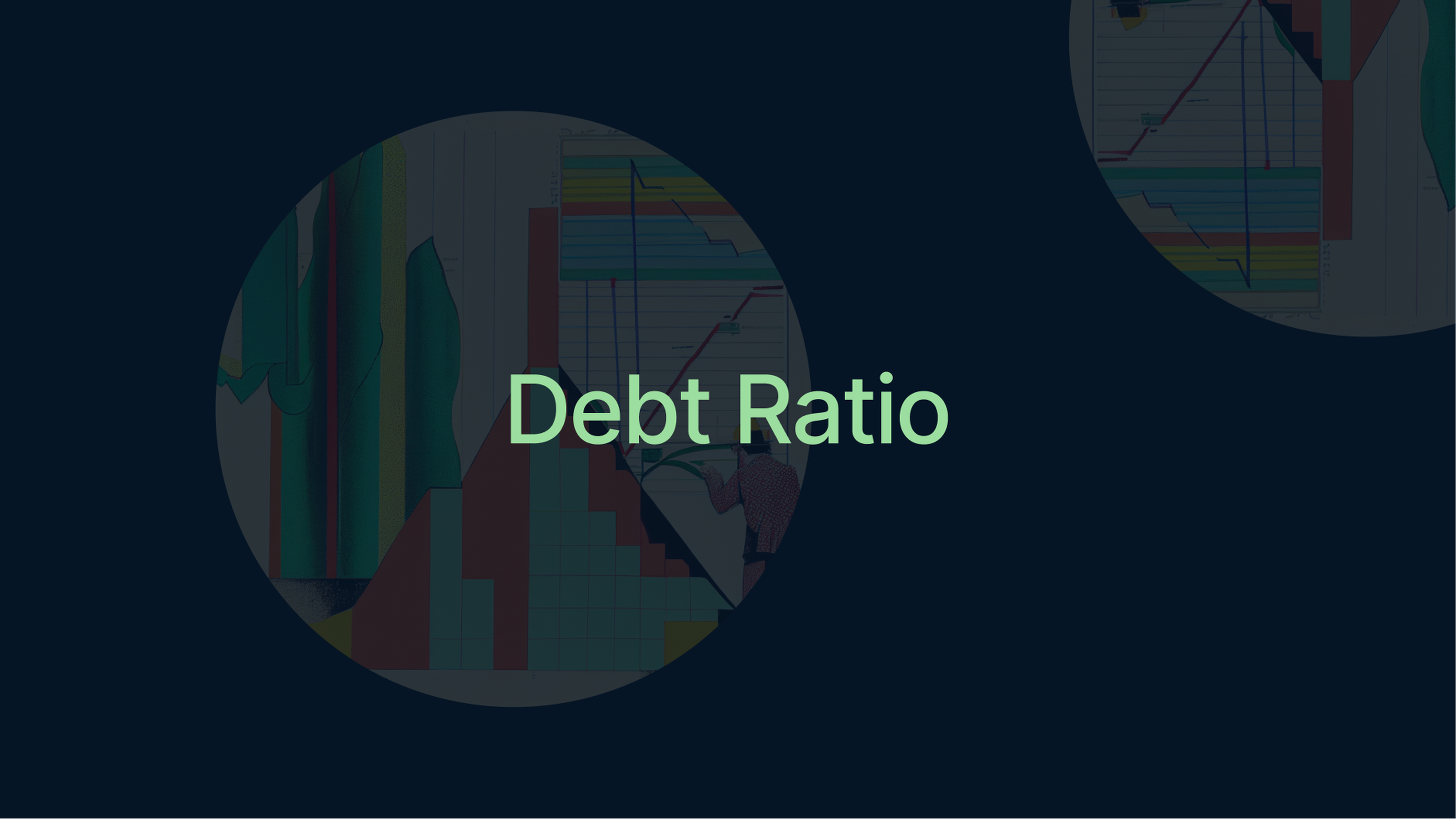 Debt Ratio