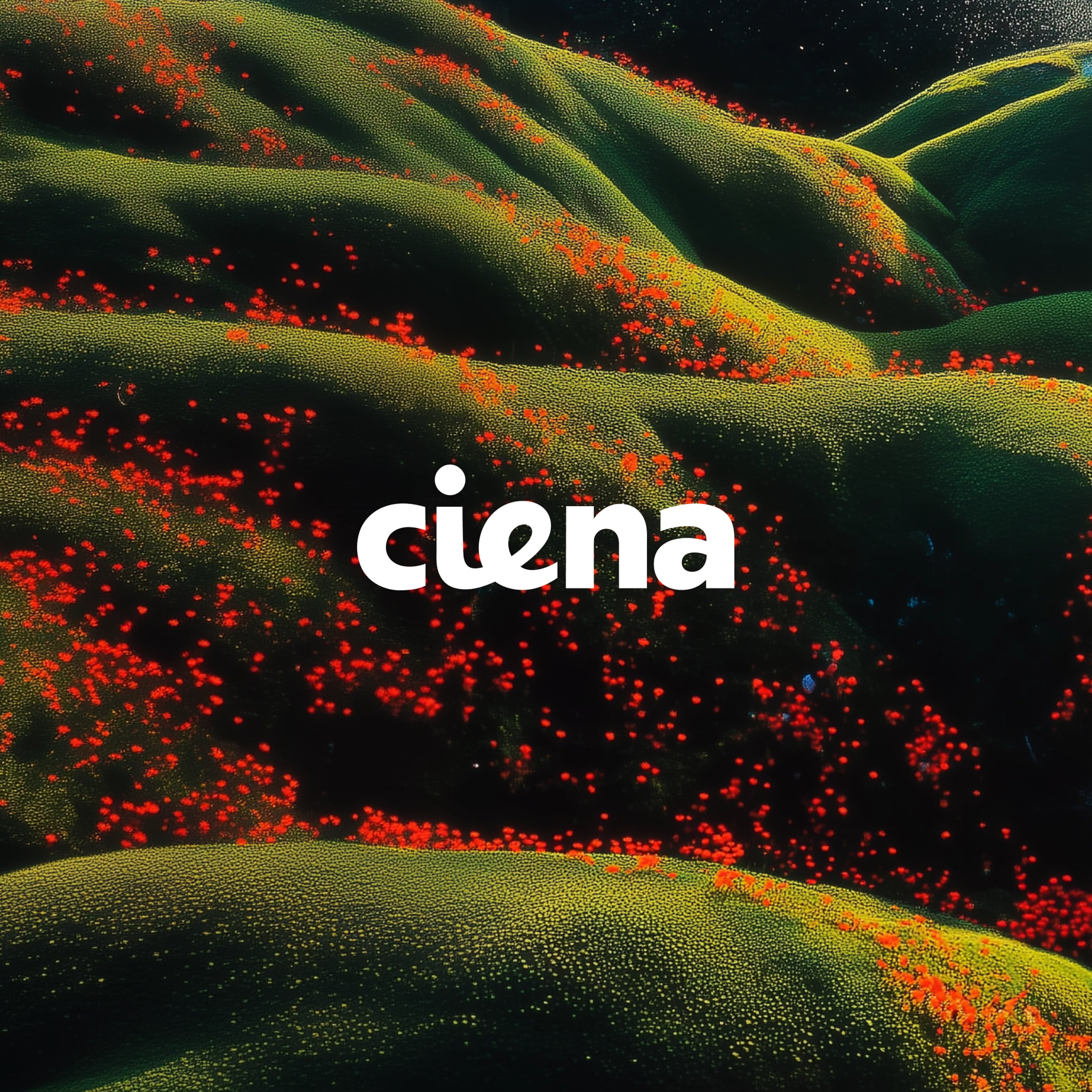 Customers_sq_ciena