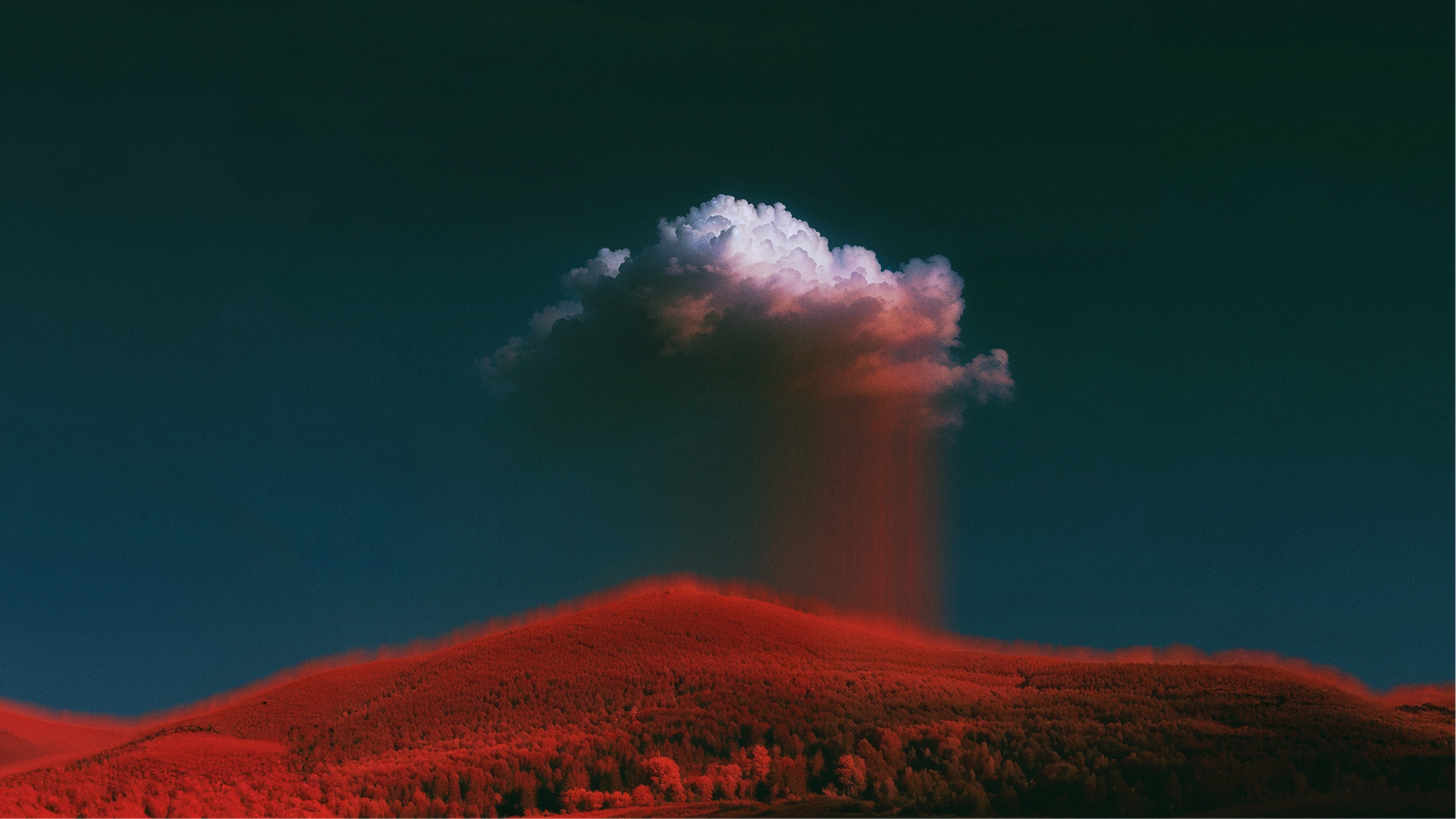 A Castle in the Sky: The Story of Oracle