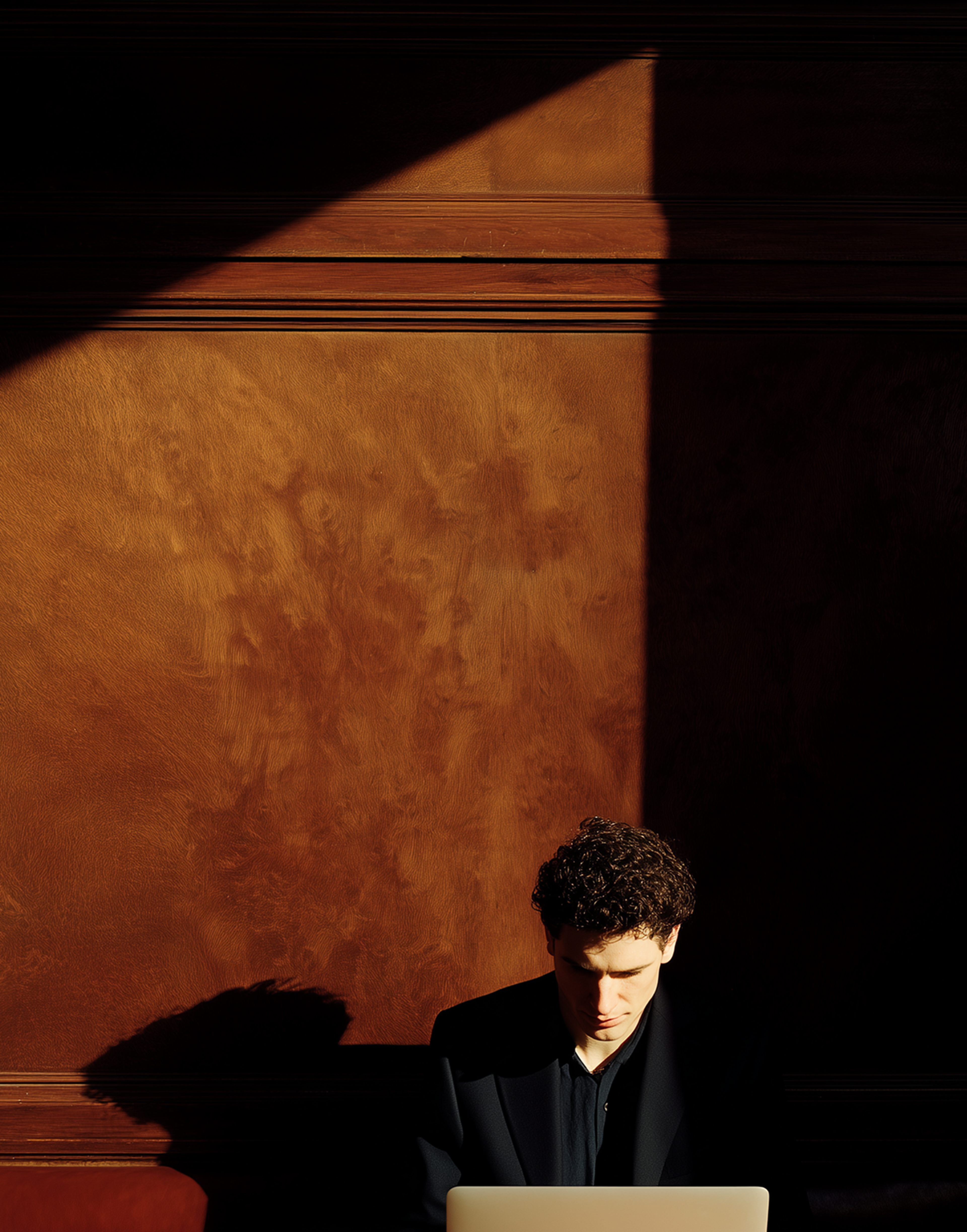 An analyst working on a laptop in a wood-panelled room lit by a shaft of sunlight