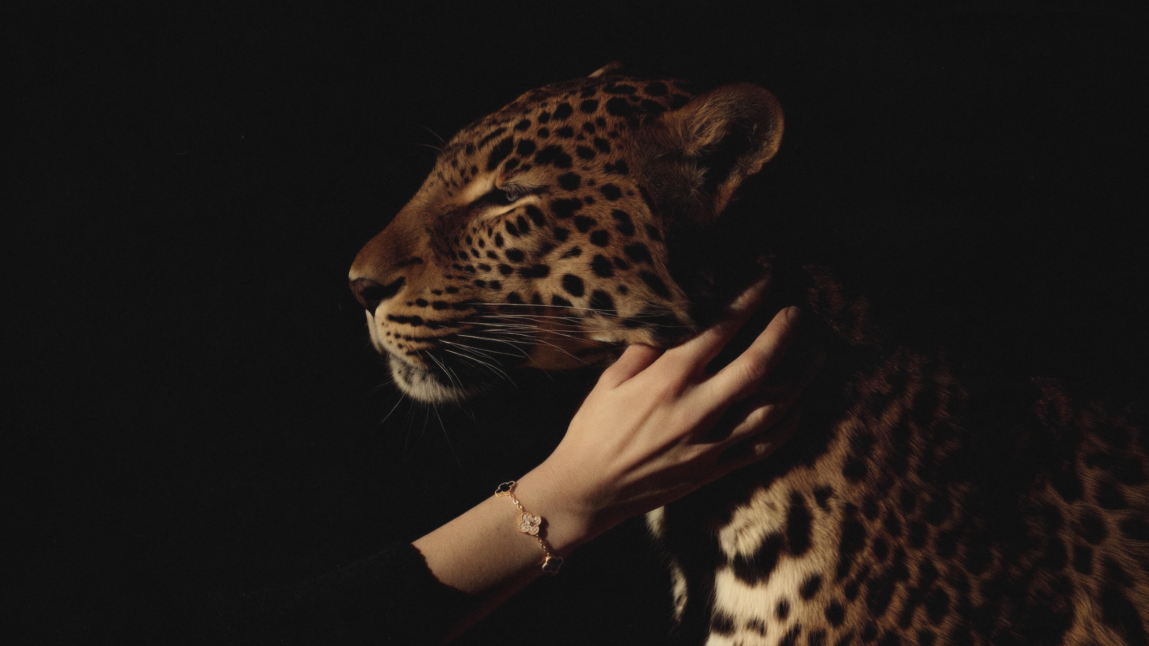 Set in Stone: The Story of Richemont