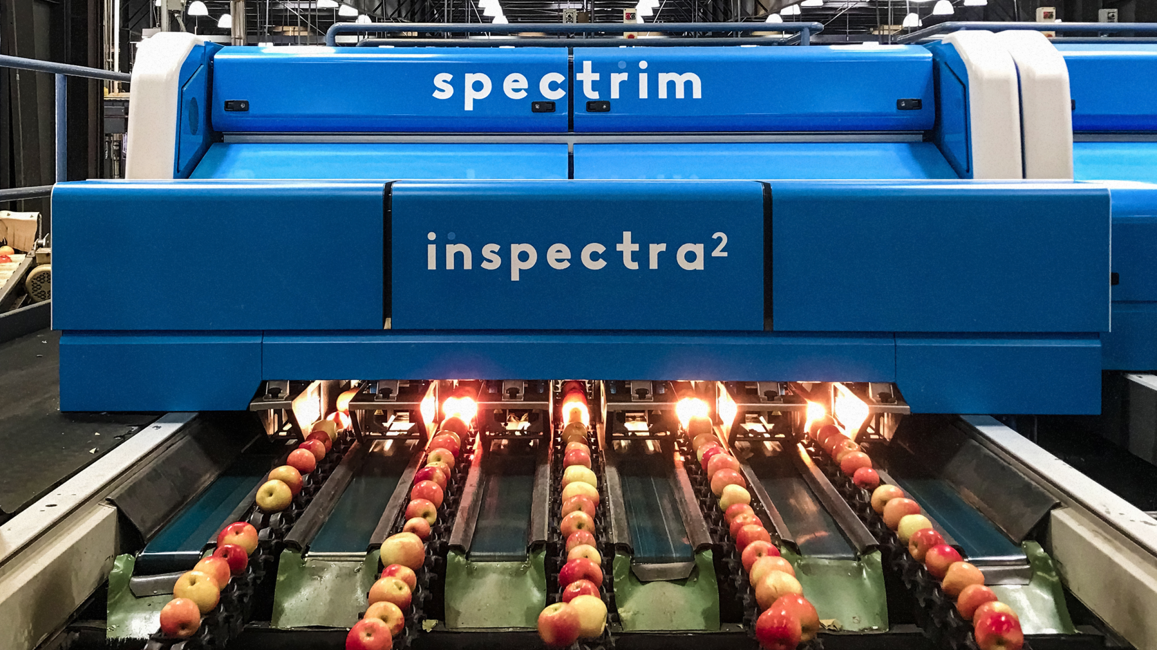 TOMRA's food-sorting systems use sensors and machine vision to analyze produce at industrial scale
