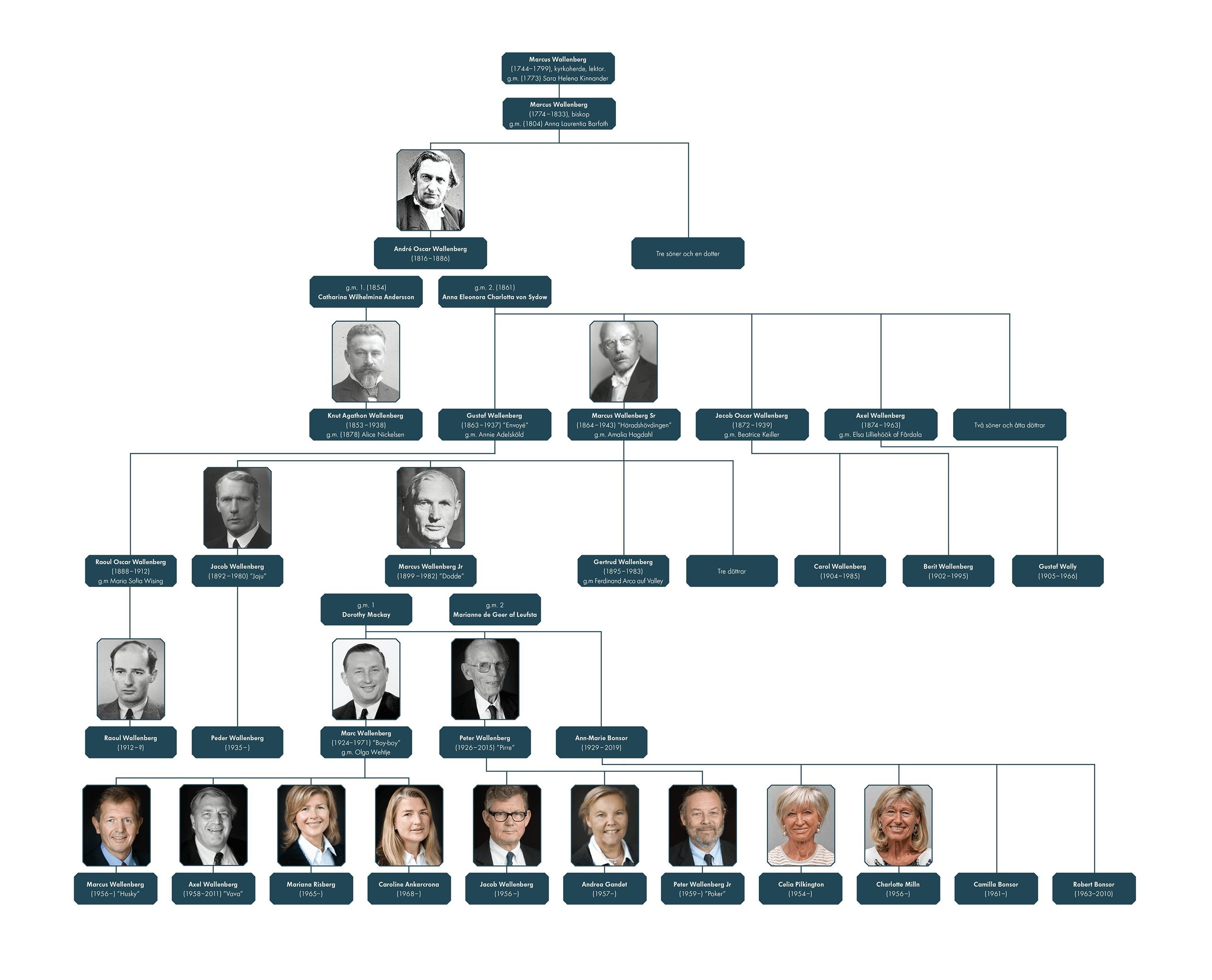 Overview of Wallenberg Family Tree