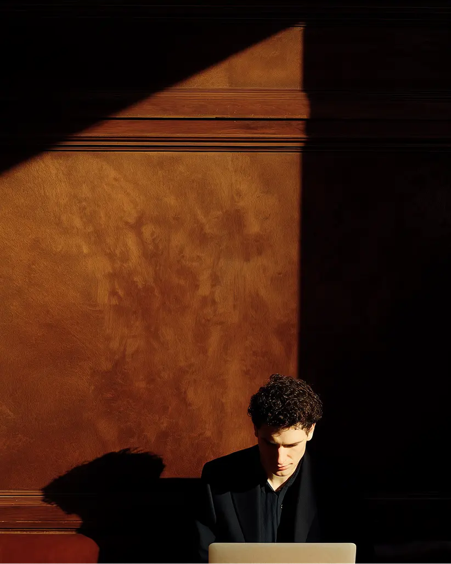 An analyst working on a laptop in a wood-panelled room lit by a shaft of sunlight
