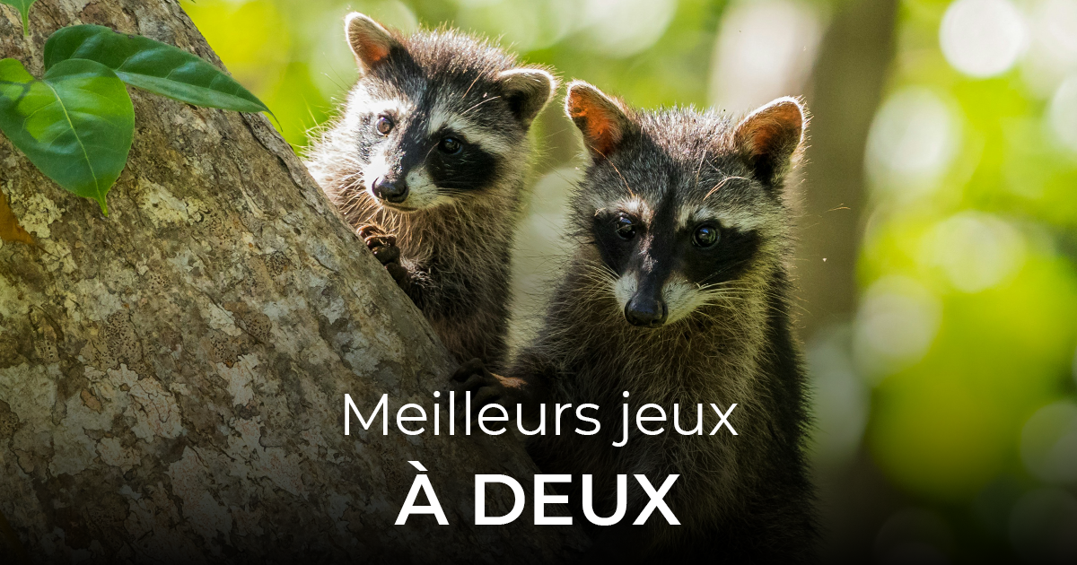 article jeux à deux 40-21