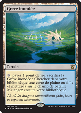 article_pioneer_greve_inondee