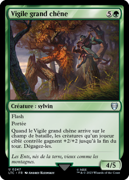 vigile-grand-chene-guide-commander-le-seigneur-des-anneaux-chroniques-de-la-terre-du-milieu