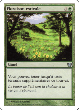 floraison_estivale