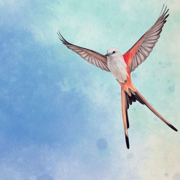 article wingspan 1-1