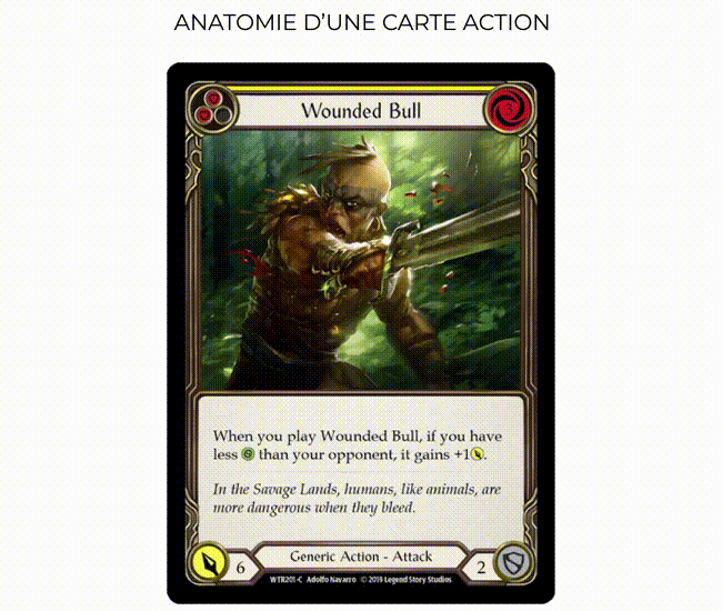 animation anatomie d'une carte flesh and blood