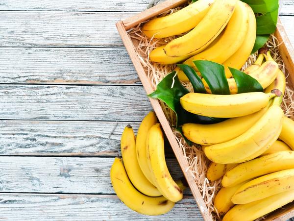 Bananenstauden in Holzbox
