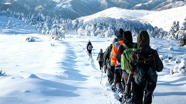 Eine Gruppe Winterwanderer wandert durch den Schnee.