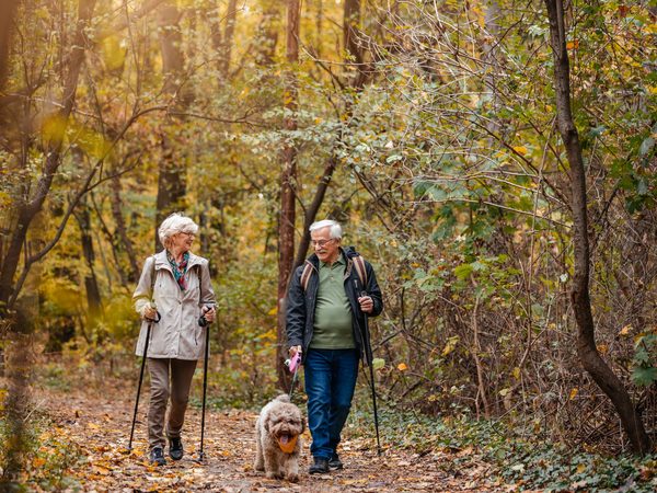Älteres Paar geht mit Hund durch den Herbstwald –Bewegung bei rheumatischen Beschwerden.
