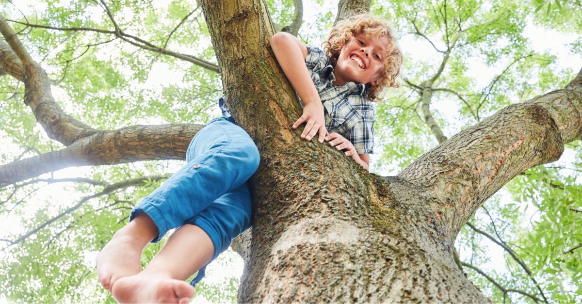 Junge in Jeans klettert auf Baum.