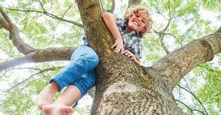 Junge in Jeans klettert auf Baum.